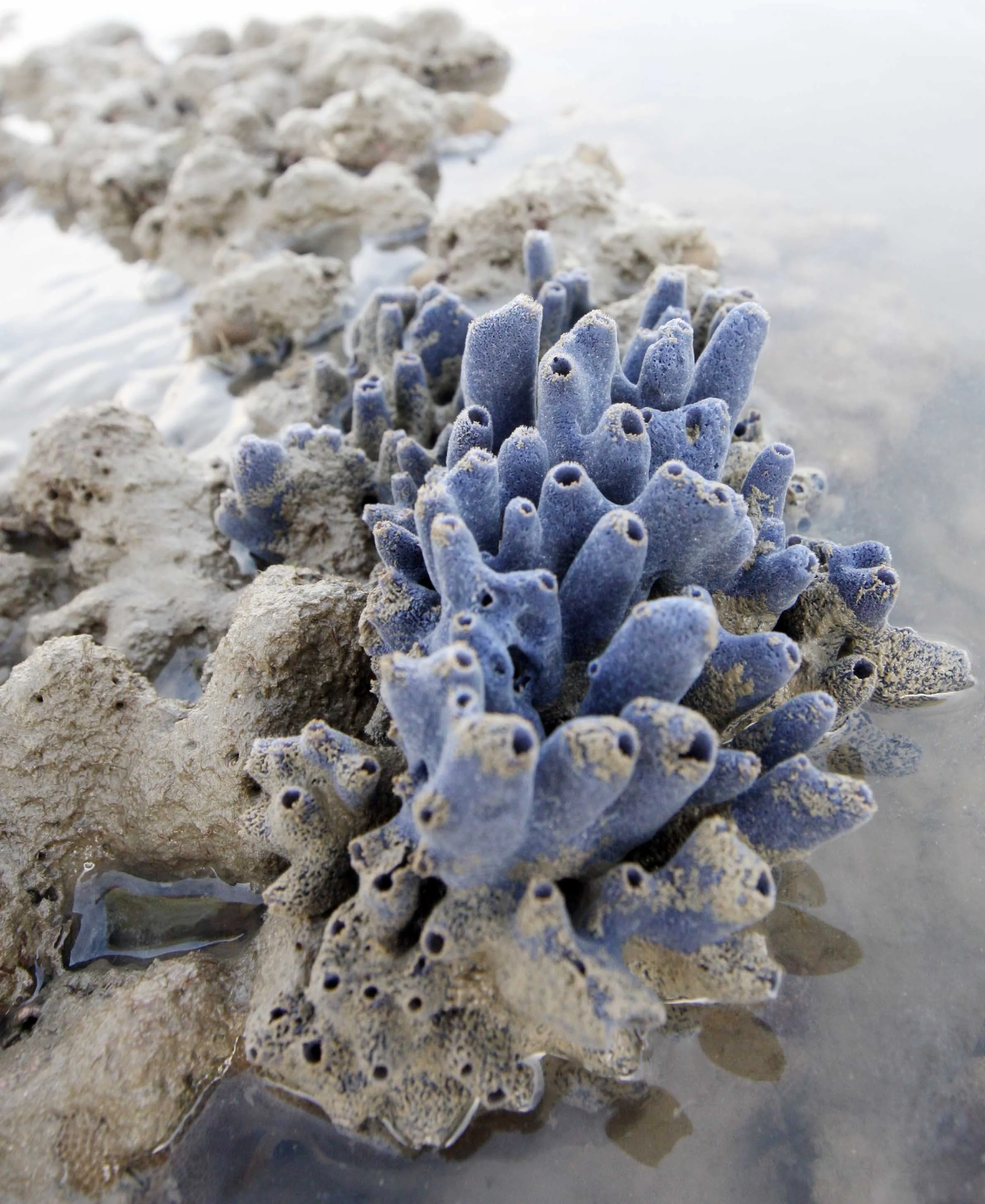 2015 Koh Lanta Songkran with friends from ISB (248).JPG