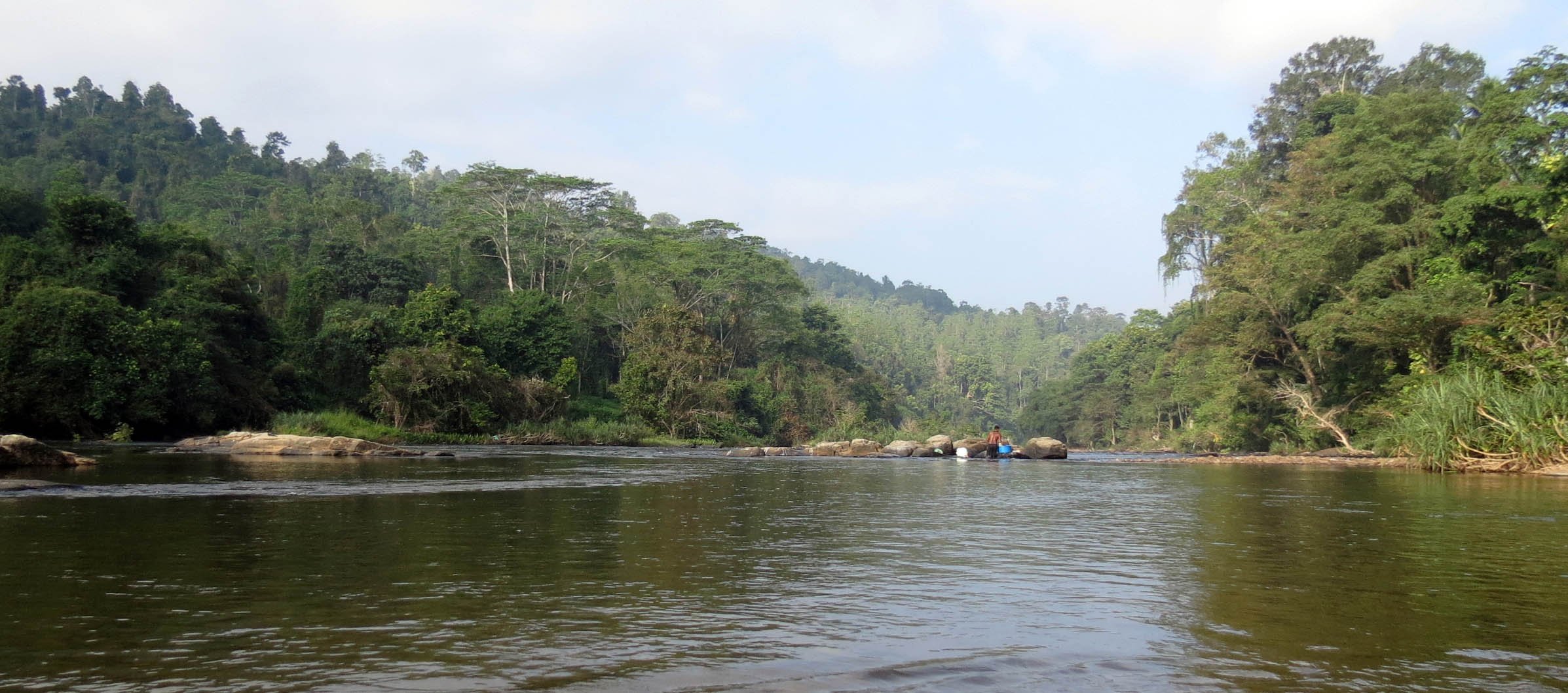 KITULGALA FOREST PRESERVE SRI LANKA (18).JPG