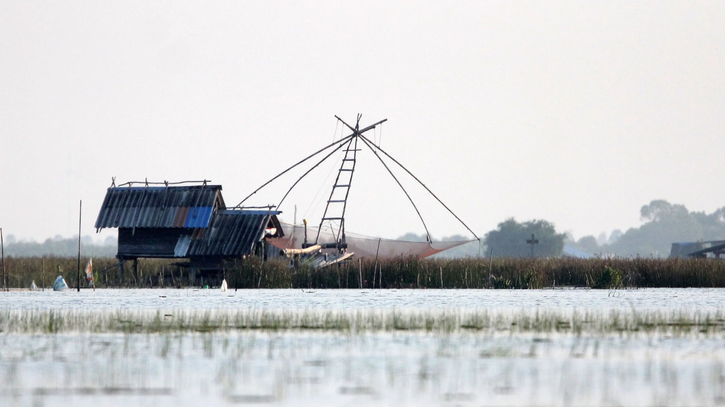 2018 Thale Noi Bird Sanctuary Patthalung (31).JPG