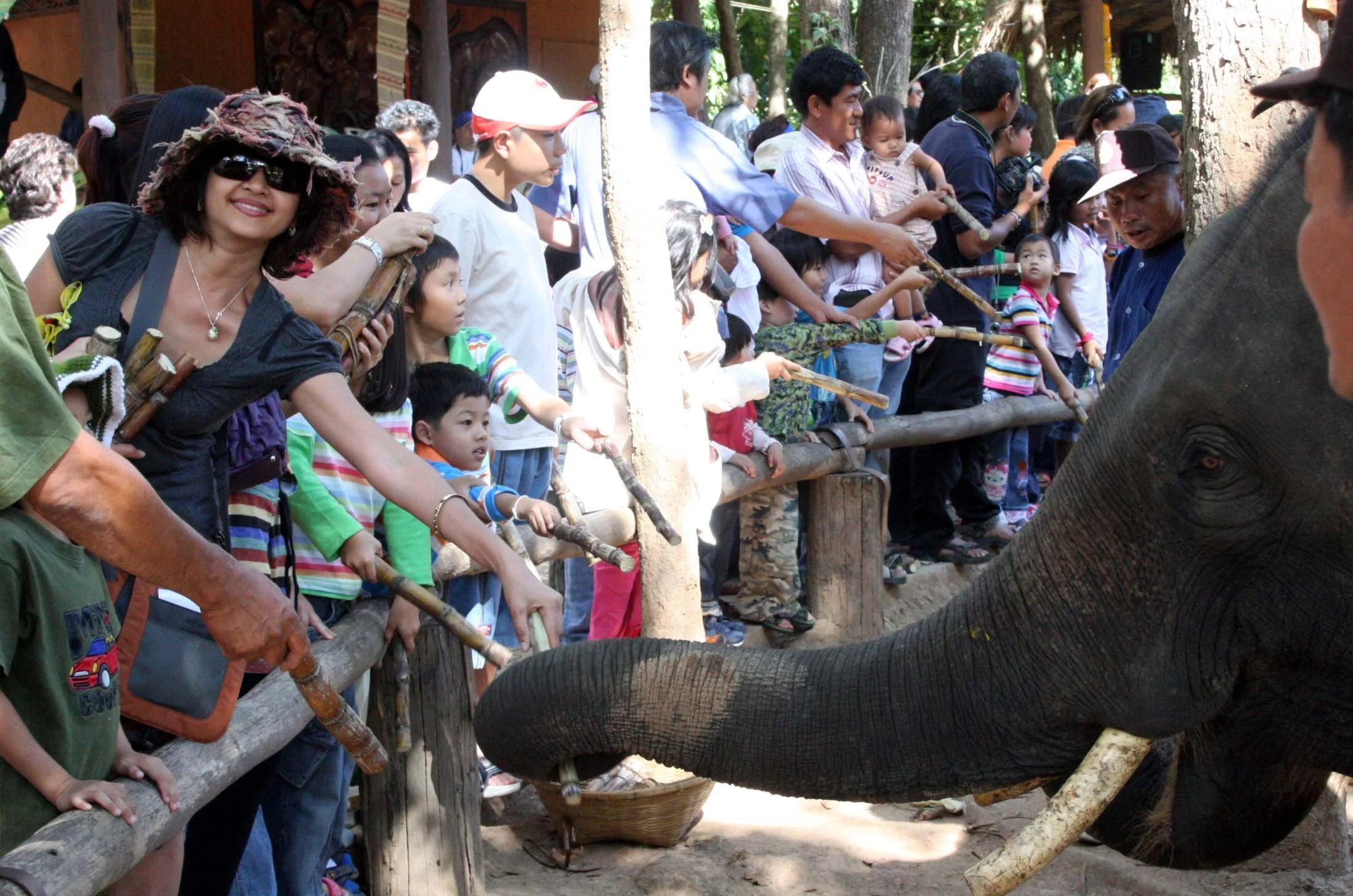 2008 Lampang City & Elephant Center (54).JPG