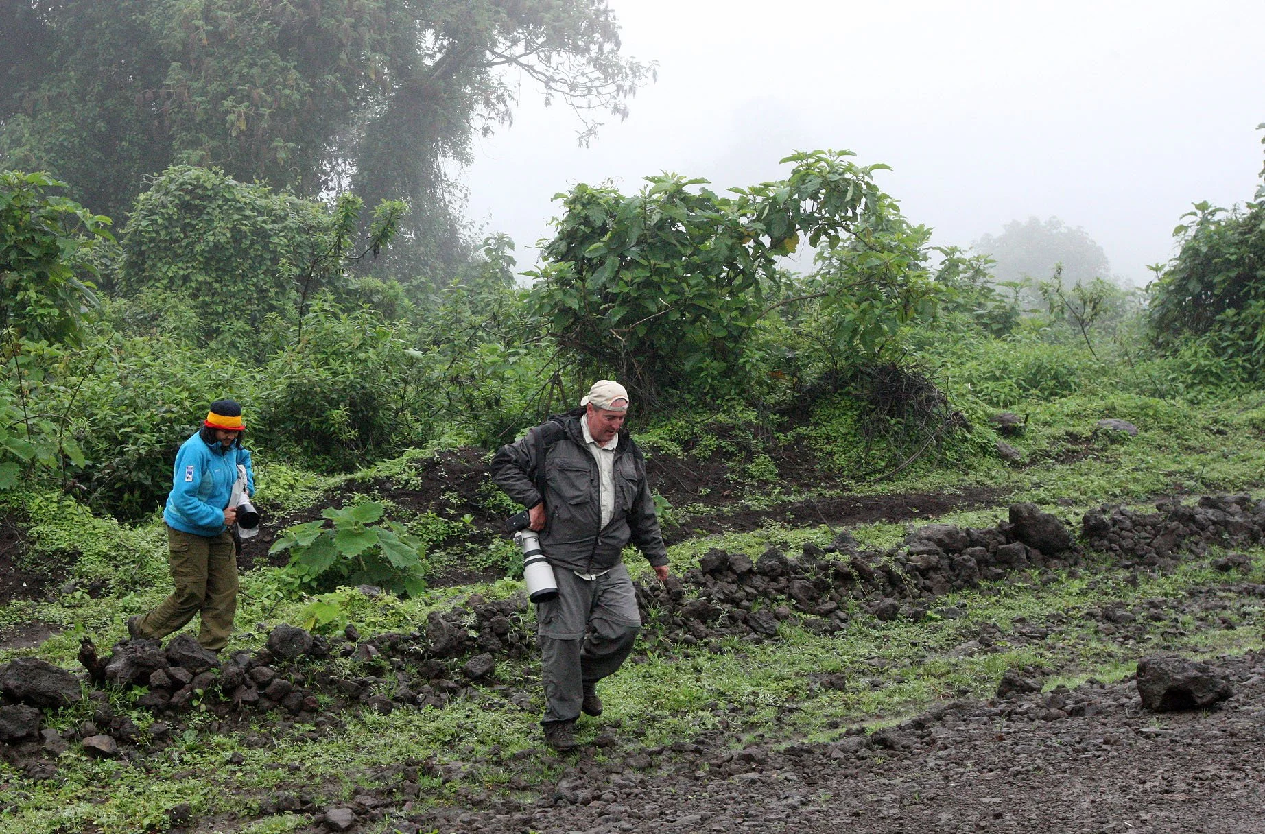 BALE MOUNTAINS NATIONAL PARK ETHIOPIA - HARRENA FOREST (2).JPG
