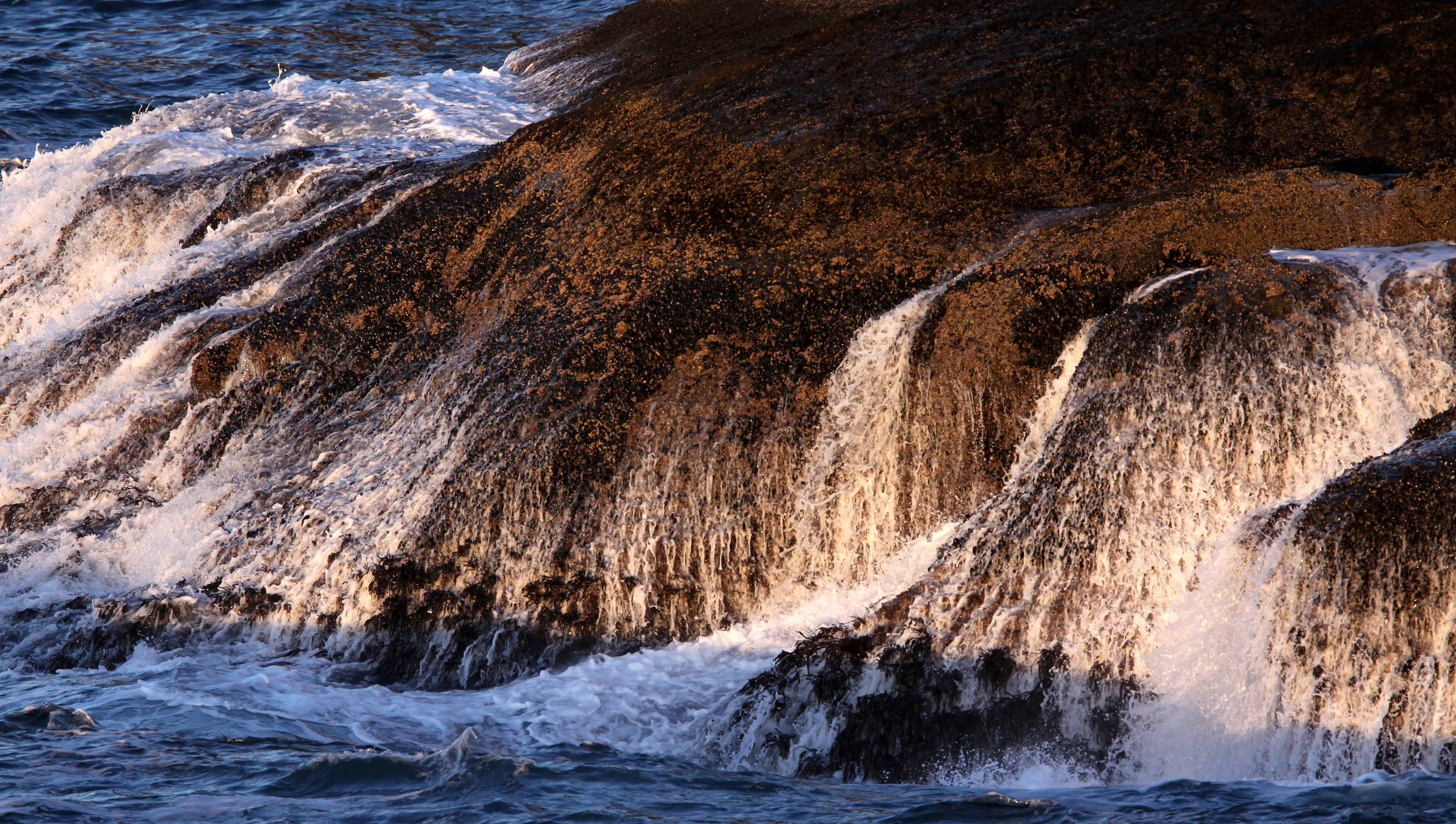CAPE FLATTERY OLYMPIC PENINSULA - 2010-2-20 (23).JPG