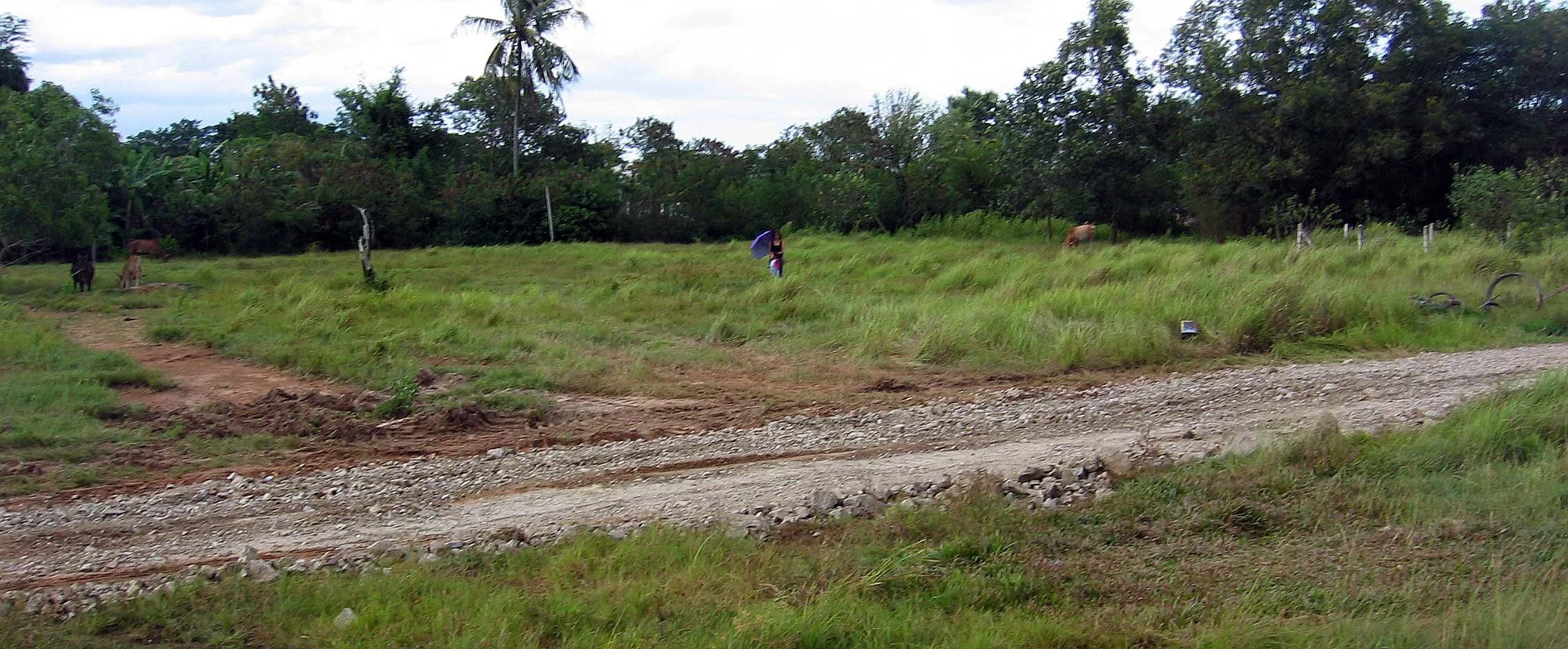 2005 Nakhonsithammarat Property near Tesco (15).JPG