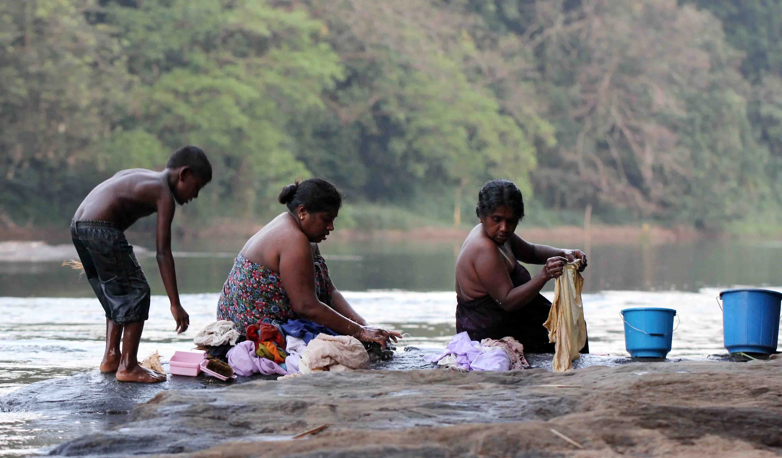 KITULGALA FOREST PRESERVE, SRI LANKA (10).JPG