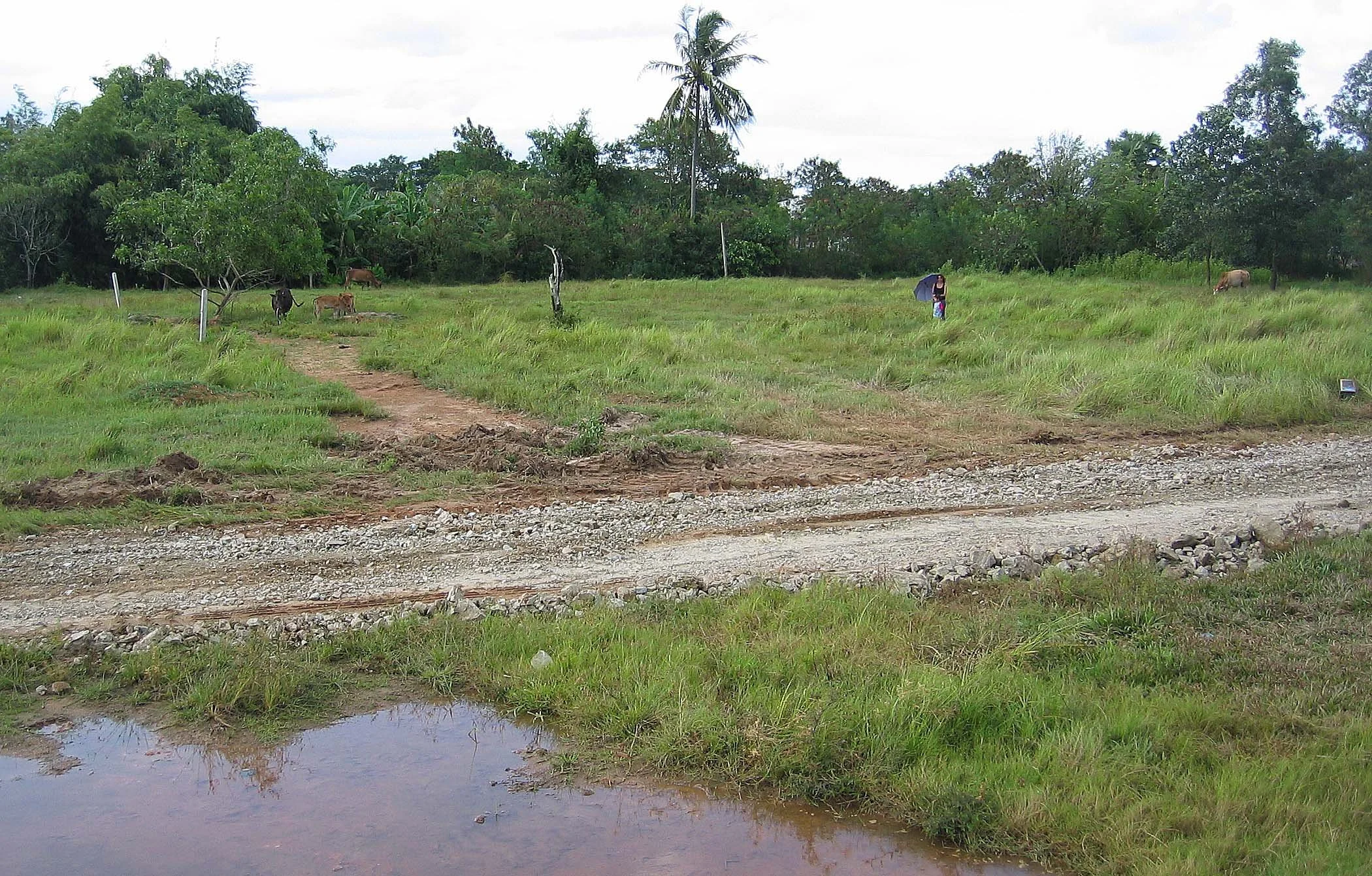 2005 Nakhonsithammarat Property near Tesco (17).JPG
