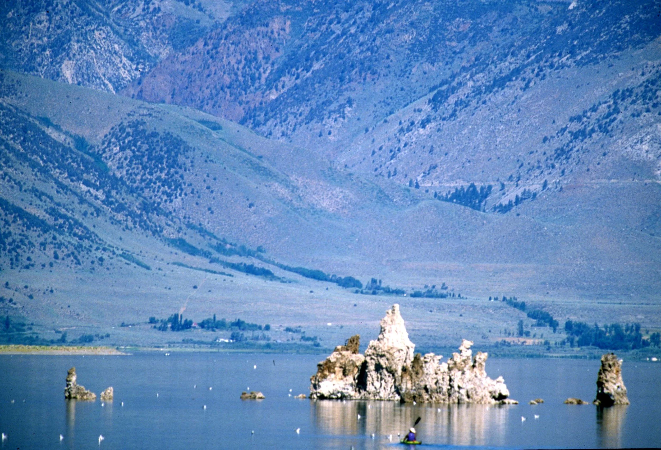 CALIFORNIA - MONO LAKE - TUFA MOUNTS IN LAK (3).jpg
