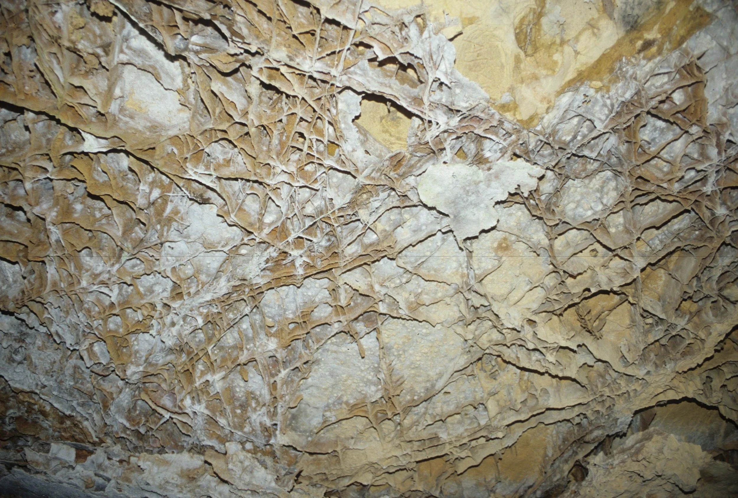 GREAT PLAINS - CAVE OF THE WINDS C.jpg