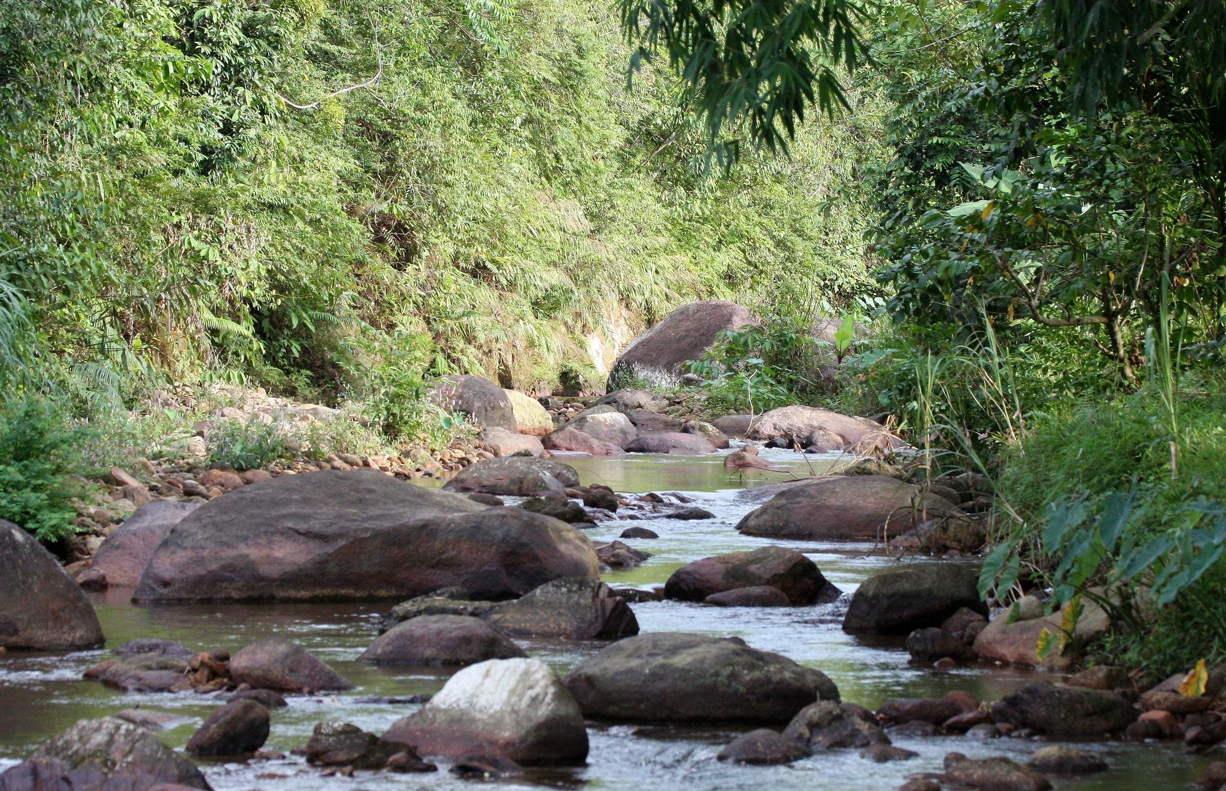 2008 Promluk Property Pics (3).JPG