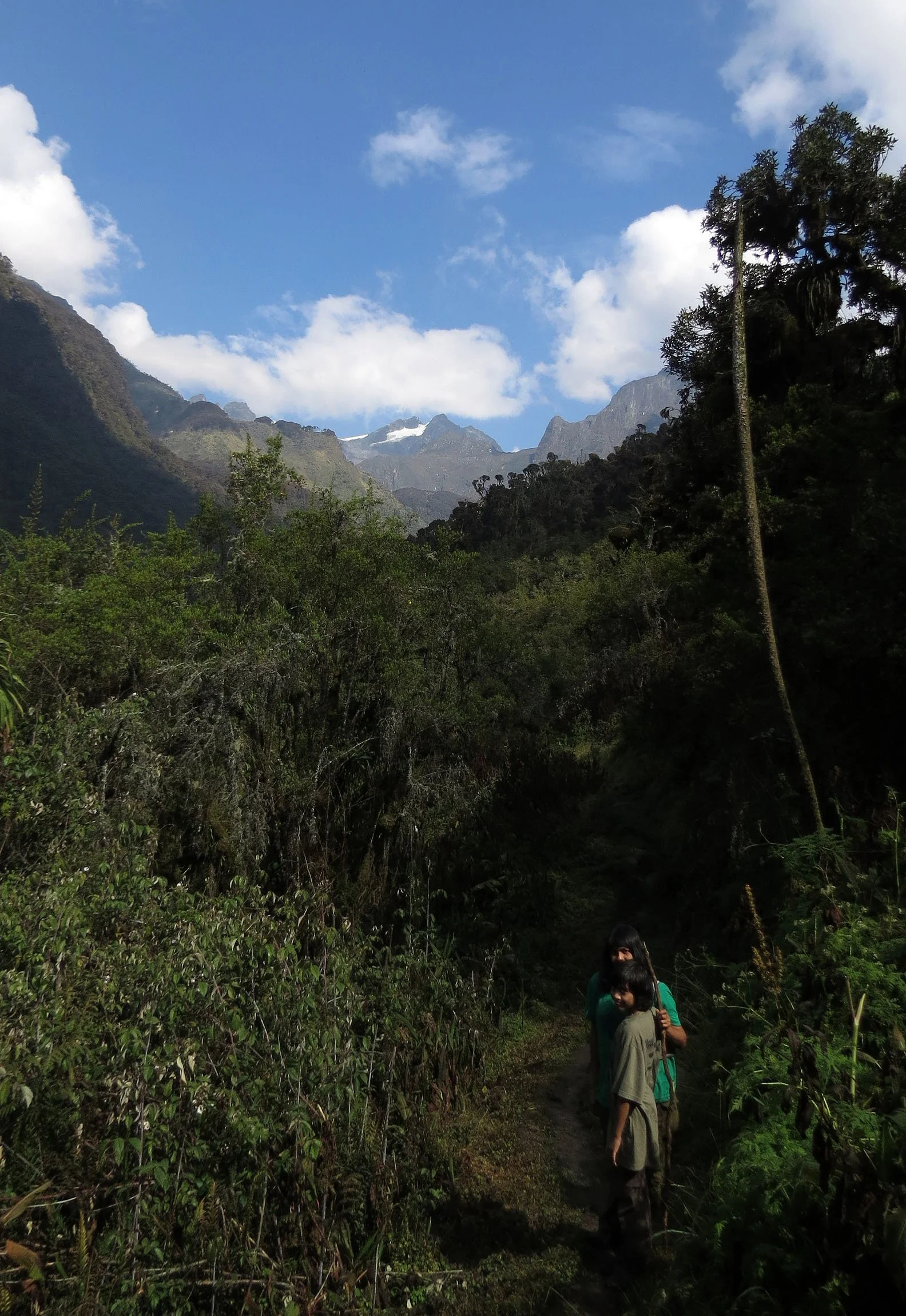 RWENZORI NATIONAL PARK UGANDA (270).JPG