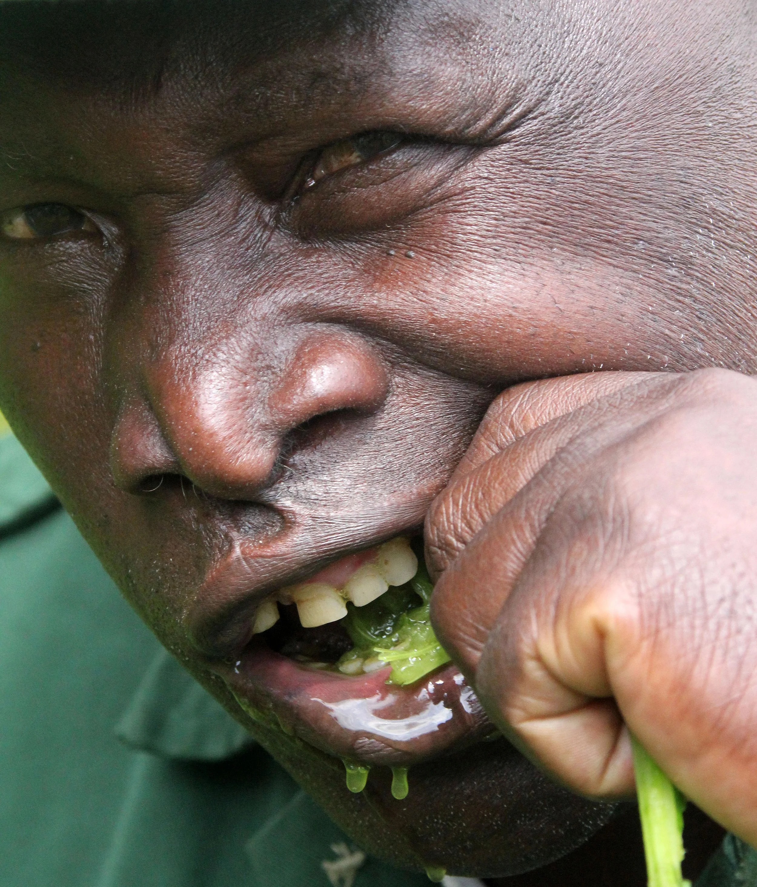 PARC DU VULCANS RWANDA 2012 (167).JPG