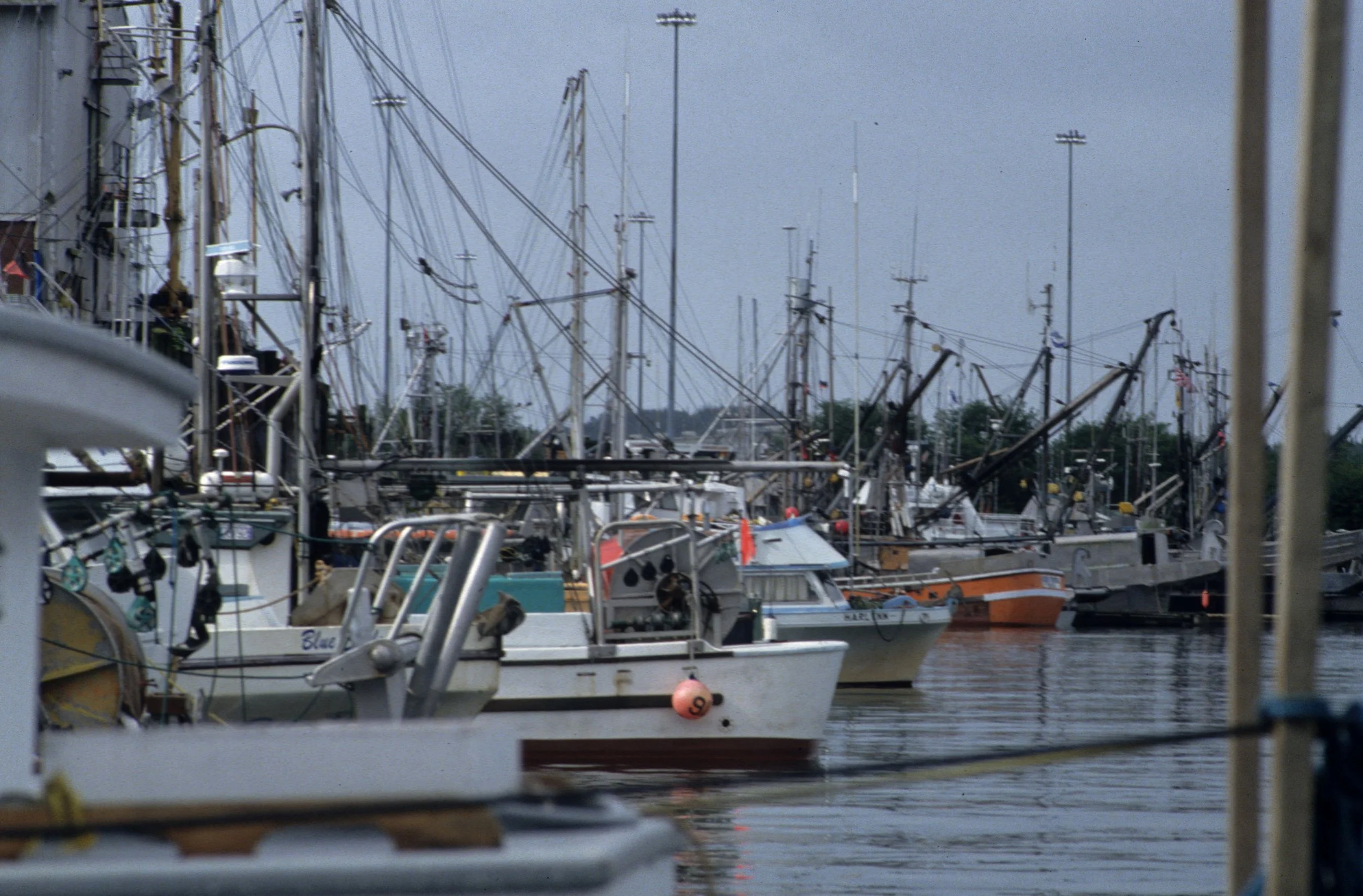 ALASKA - FISHING FLEET - VALDEZ.jpg