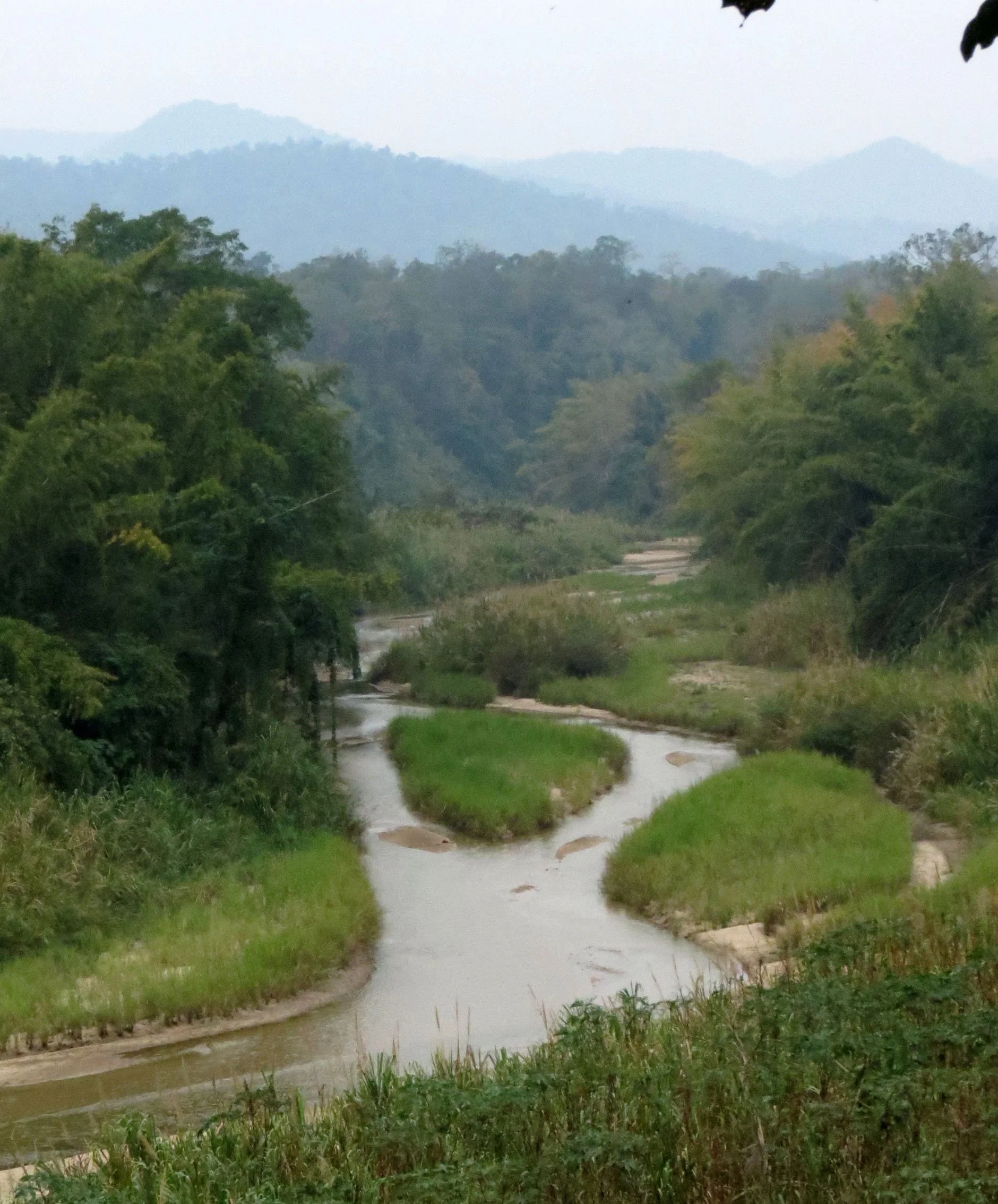 2014 Huai Kha Khaeng Bruce Kekule Trip (30).JPG