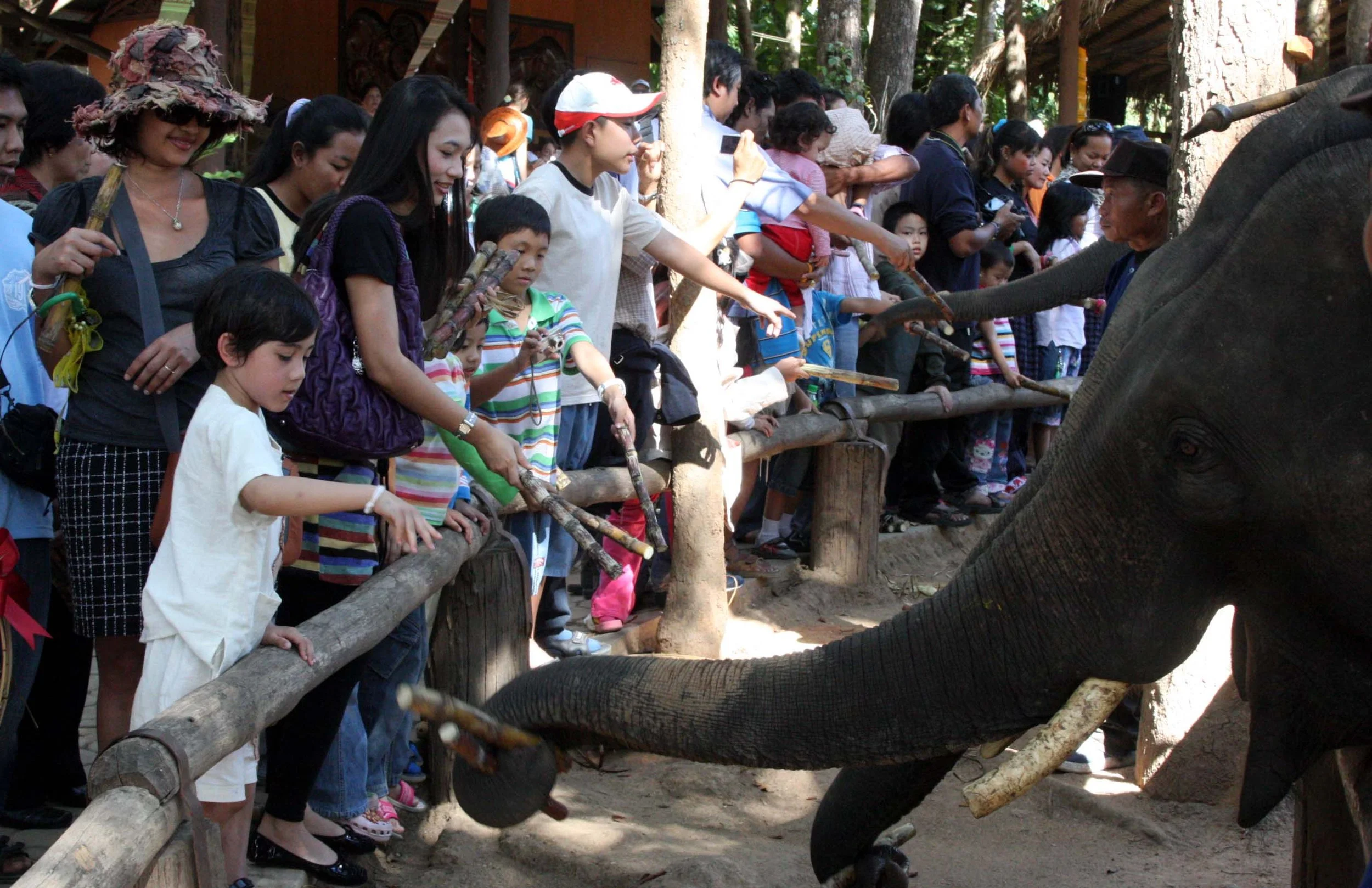 2008 Lampang City & Elephant Center (57).JPG
