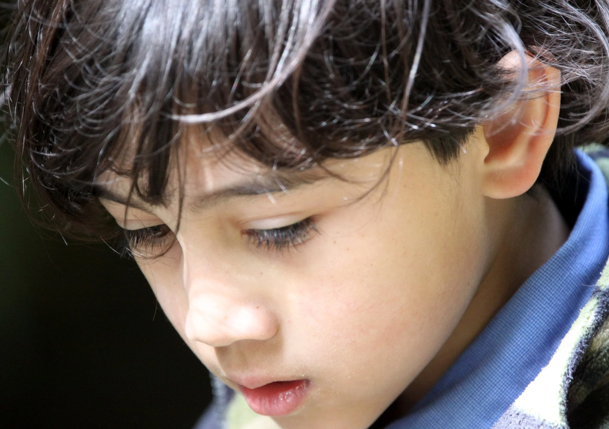 2010-4-6 HANGING IN THE REDWOODS - ROADTRIP 2010 (12).JPG