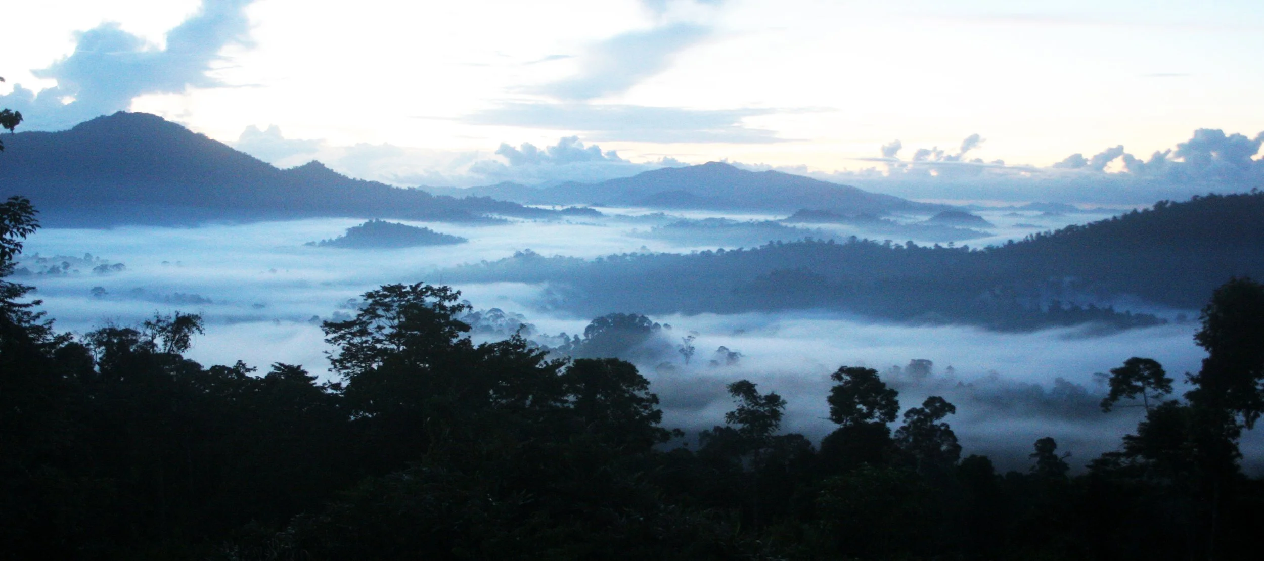 DANUM VALLEY BORNEO - SUNRISE OVER THE DANUM (4).JPG