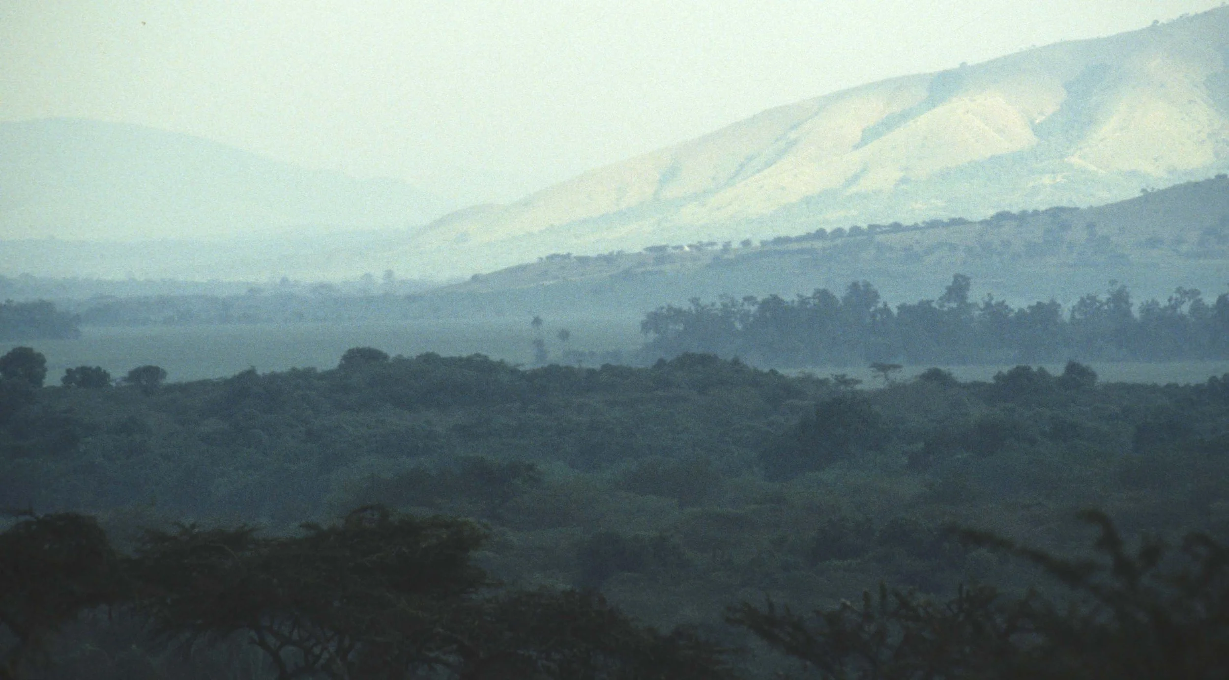 SERENGETI RIFT VALLEY 1.jpg