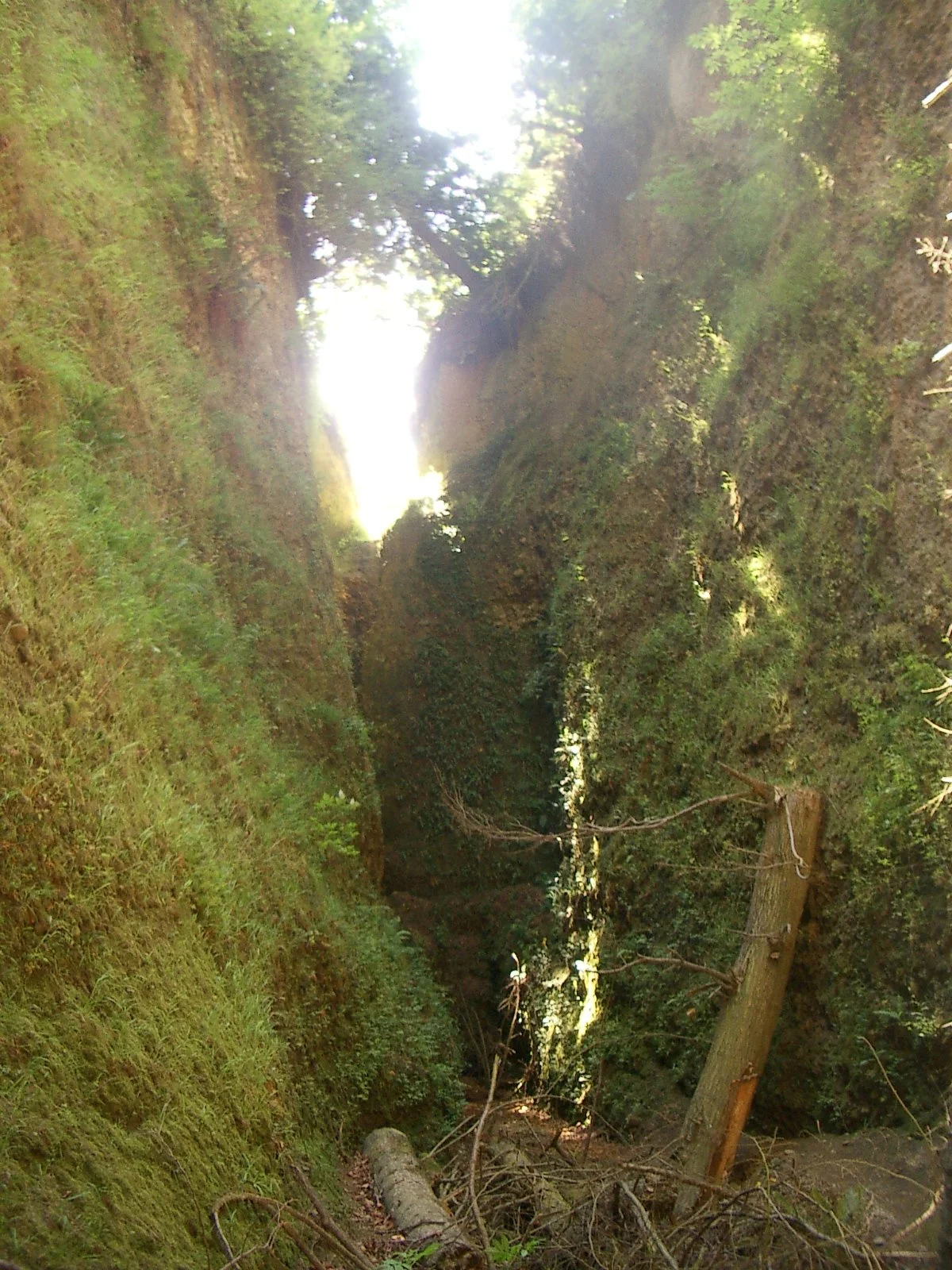 2003-7-31 FAMILY REUNION IN WASHINGTON AND CANADA (154).JPG