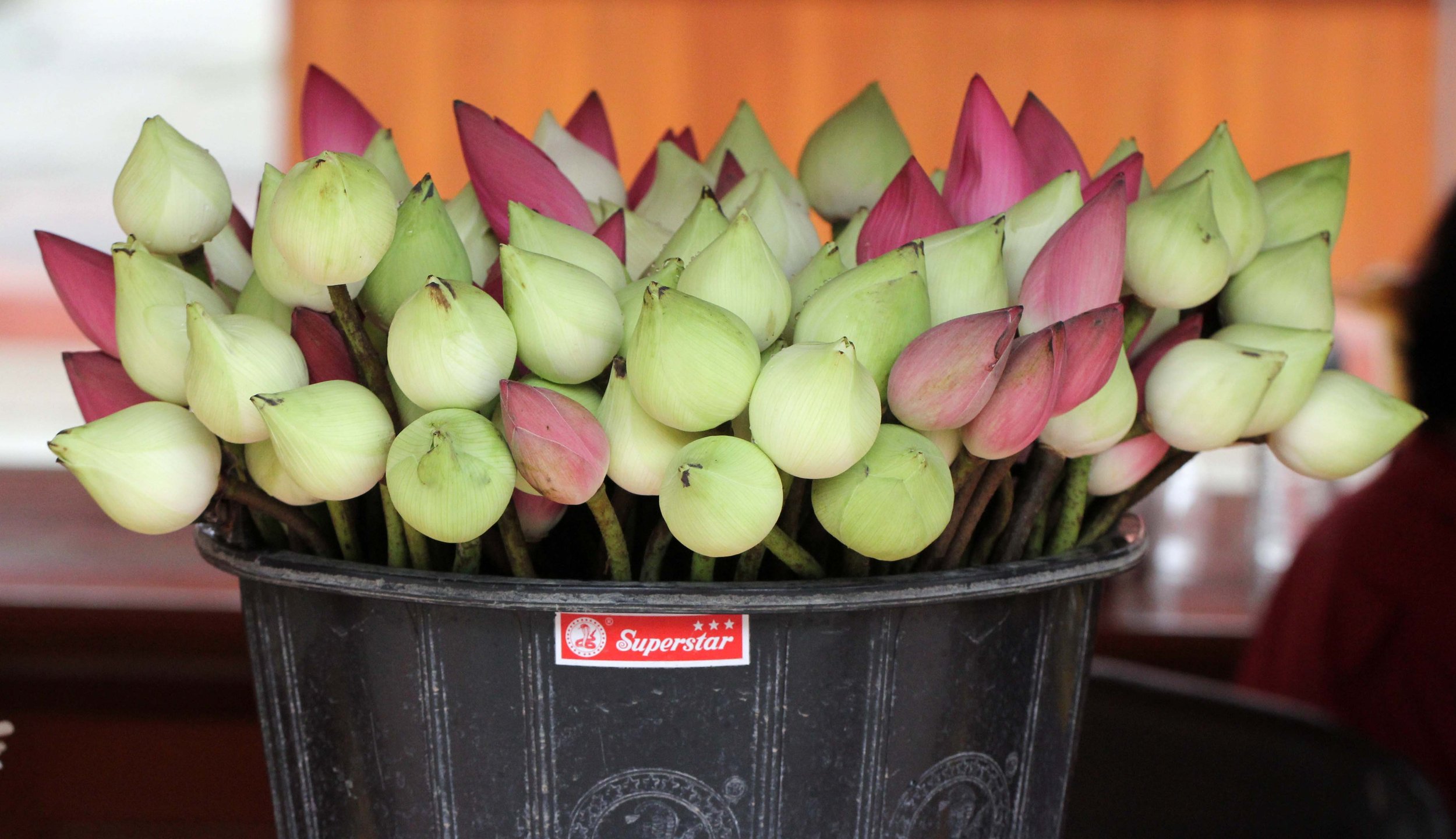 2013 Ayutthaya ISB Passion Day (159).JPG