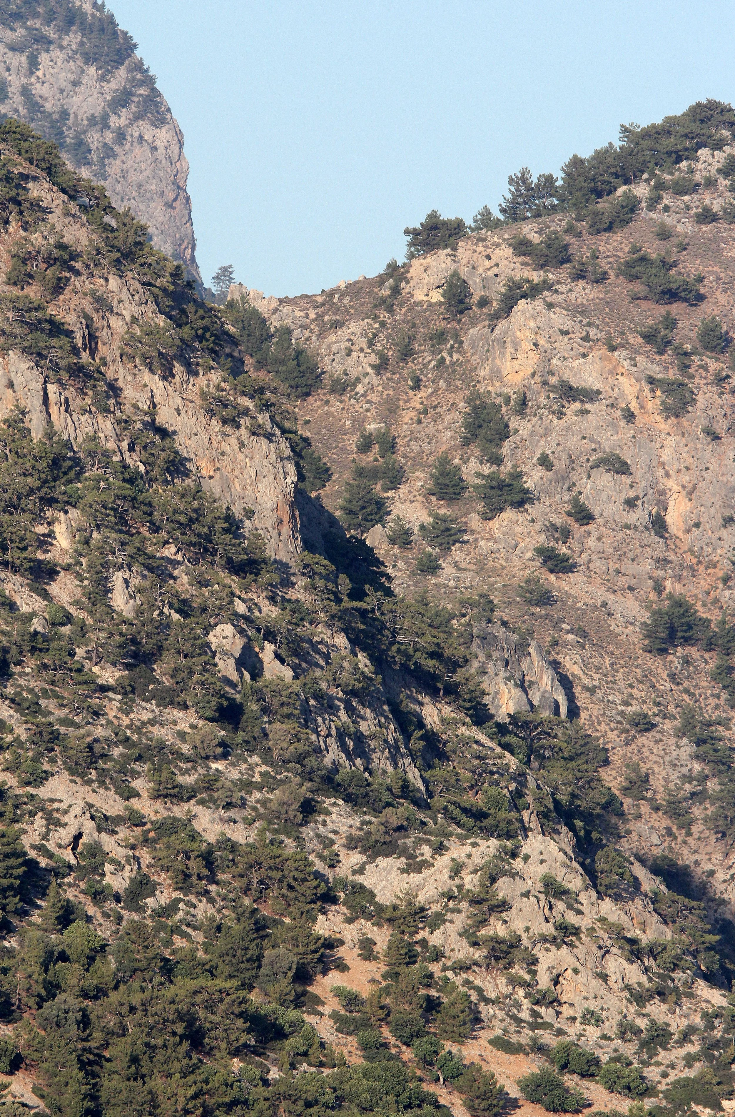 SAMARIA GORGE NATIONAL PARK CRETE GREECE (6).JPG