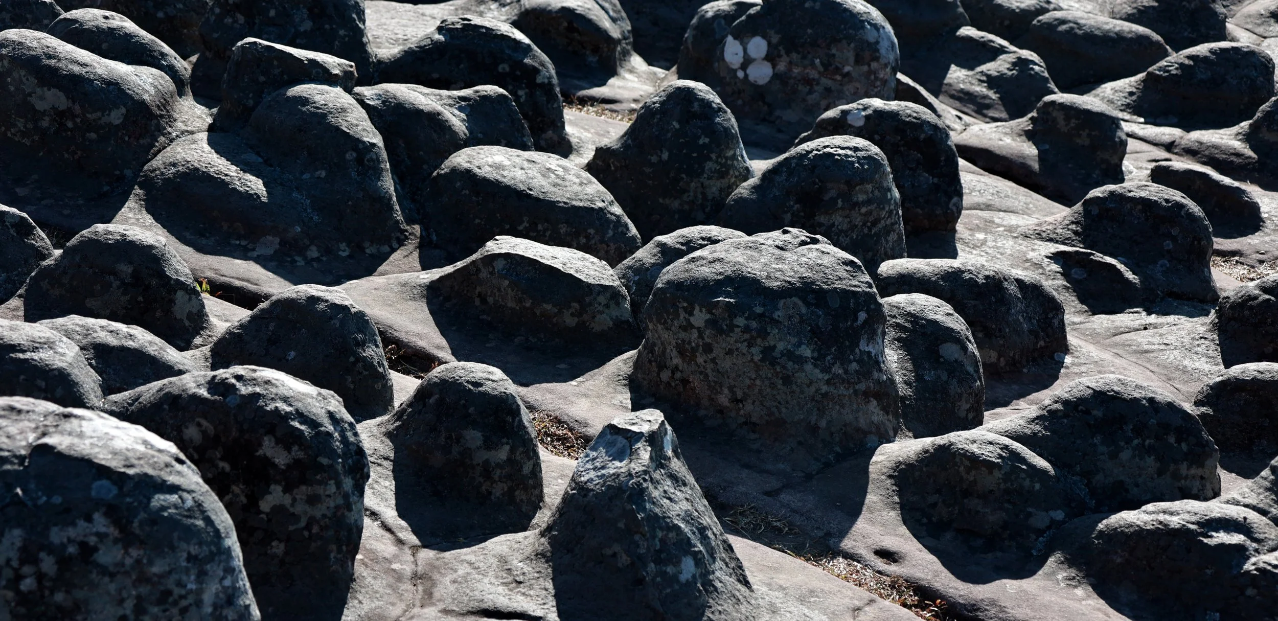 Phu Hin Rong Kla National Park Loei Province (76).jpg