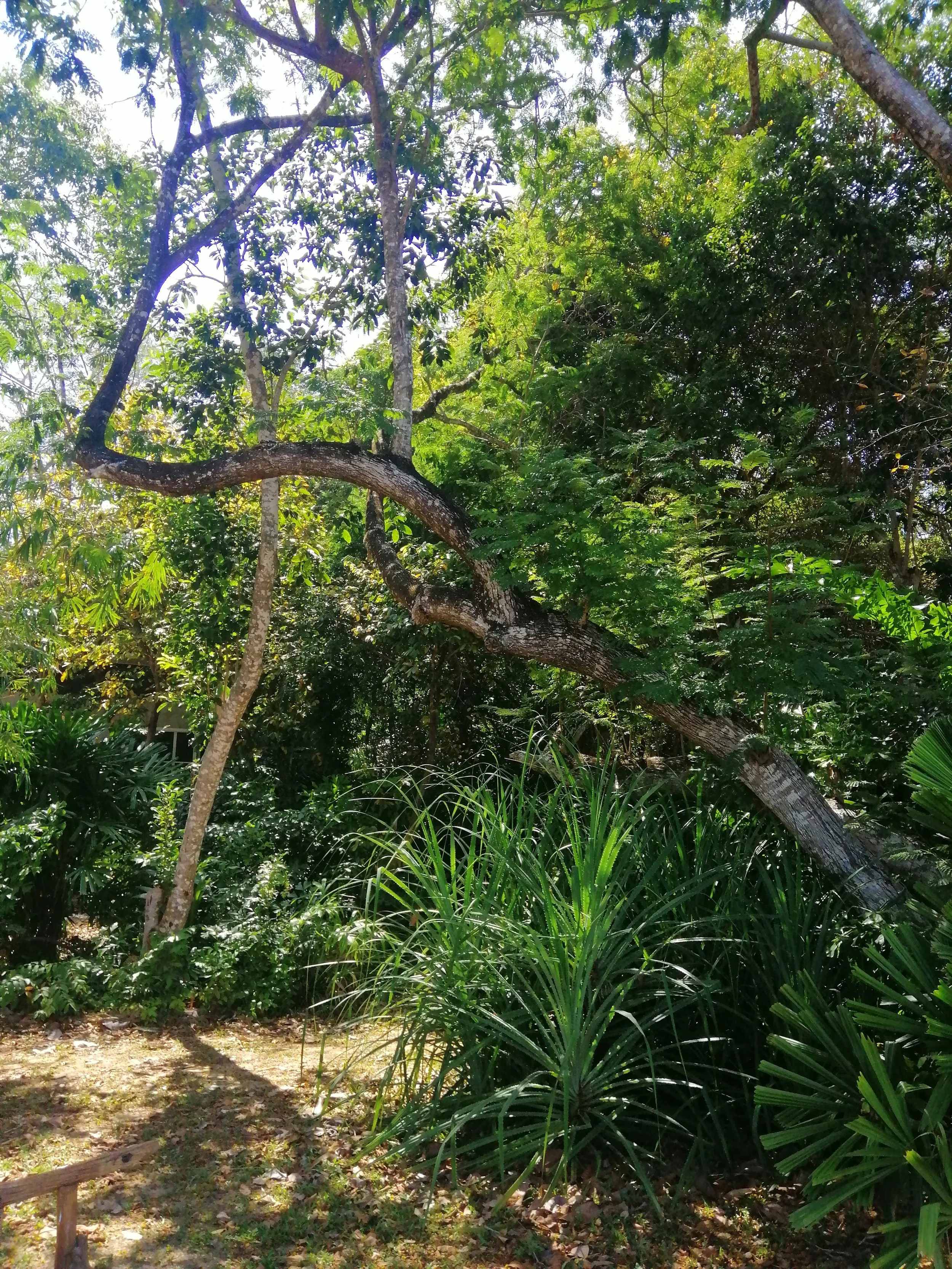 2018 Koh Lanta Misc  (148).jpg