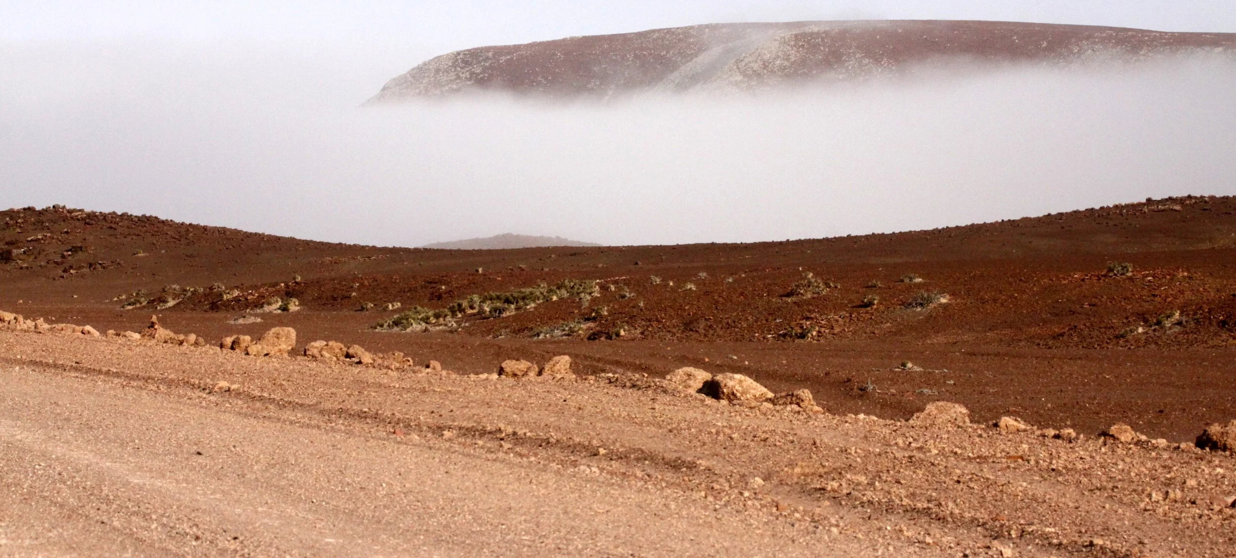 NAMIBIA - SKELETON COAST NATIONAL PARK - SCENERY (5).JPG