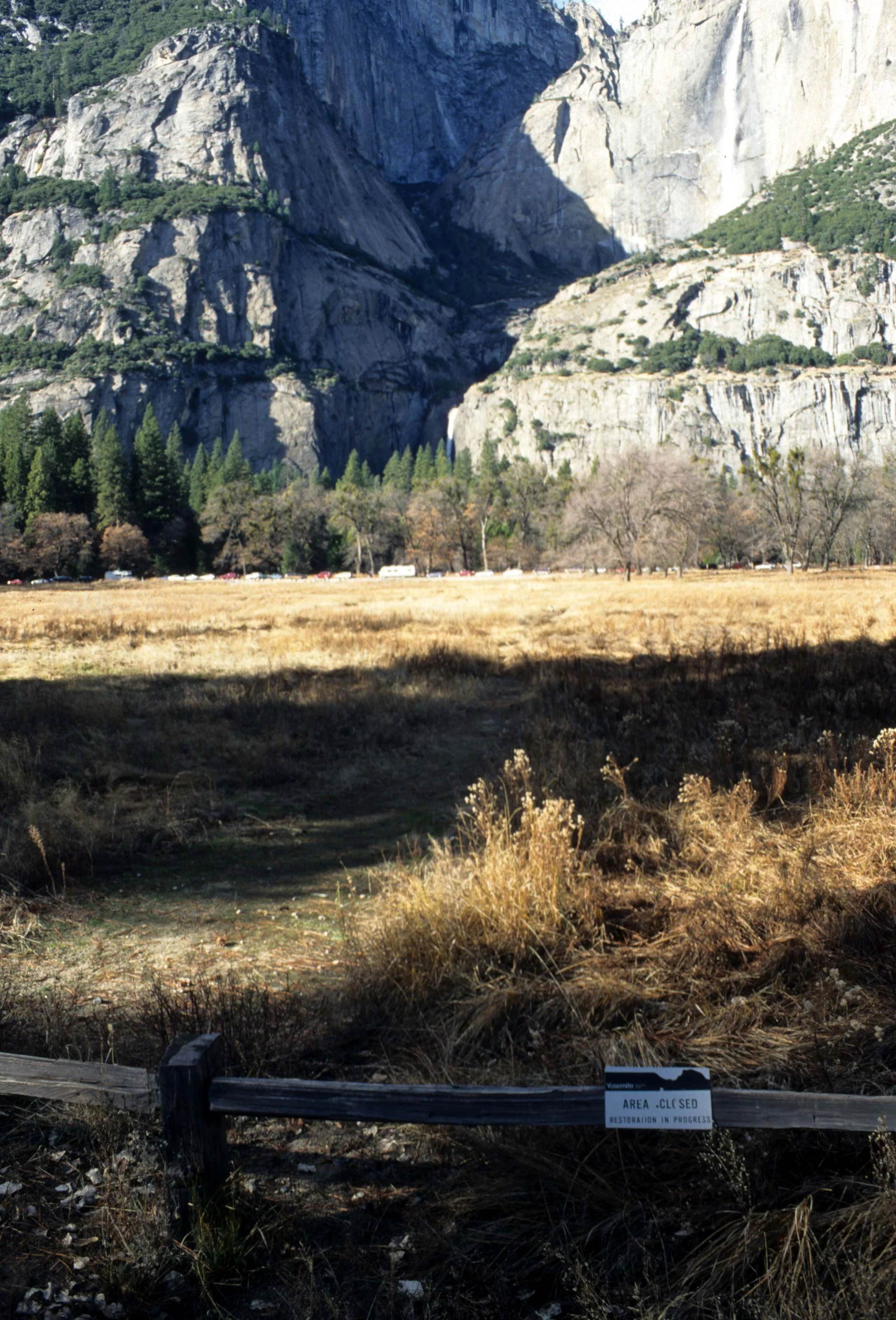 CALIFORNIA - YOSEMITE NATIONAL PARK (5).jpg