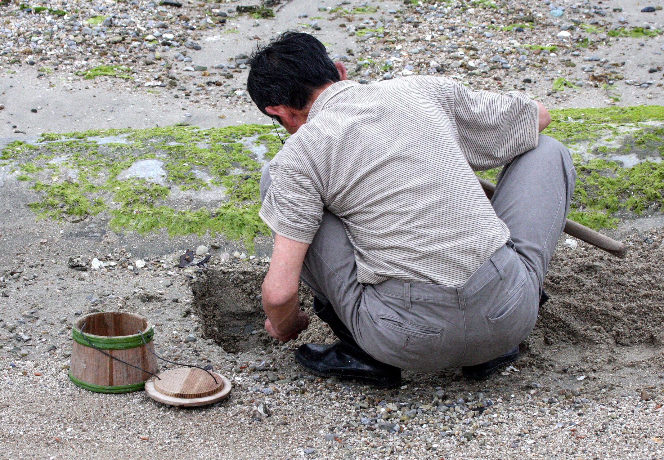 MIYAJIMA - MAY 2009 - SCENES AND LANDSCAPES (28).JPG