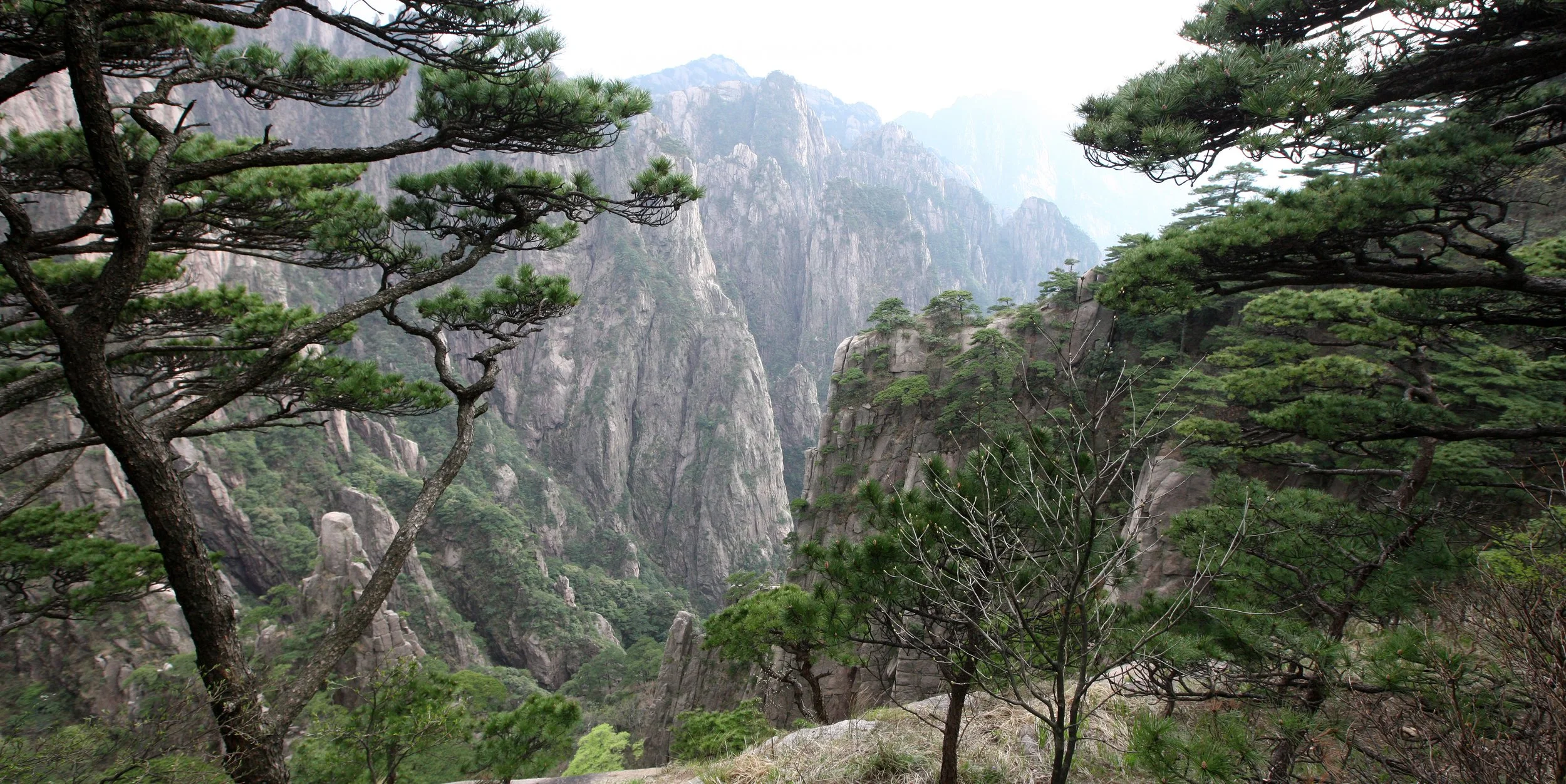 HUANGSHAN NATIONAL PARK ANHUI PROVINCE CHINA (146).JPG