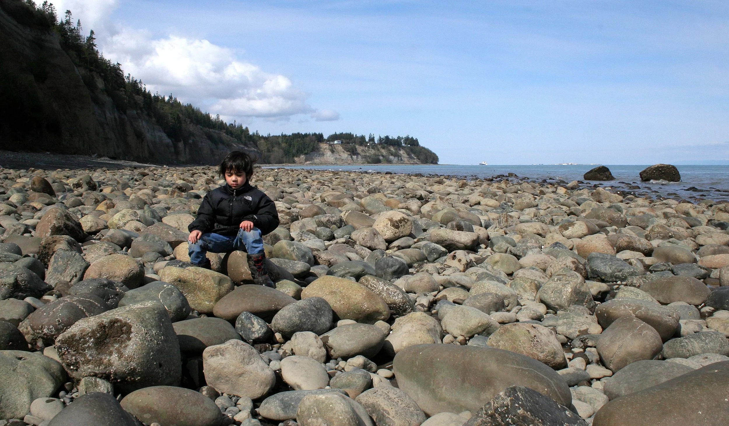 2008-4-20 LAKE FARM BEACH WALK.JPG