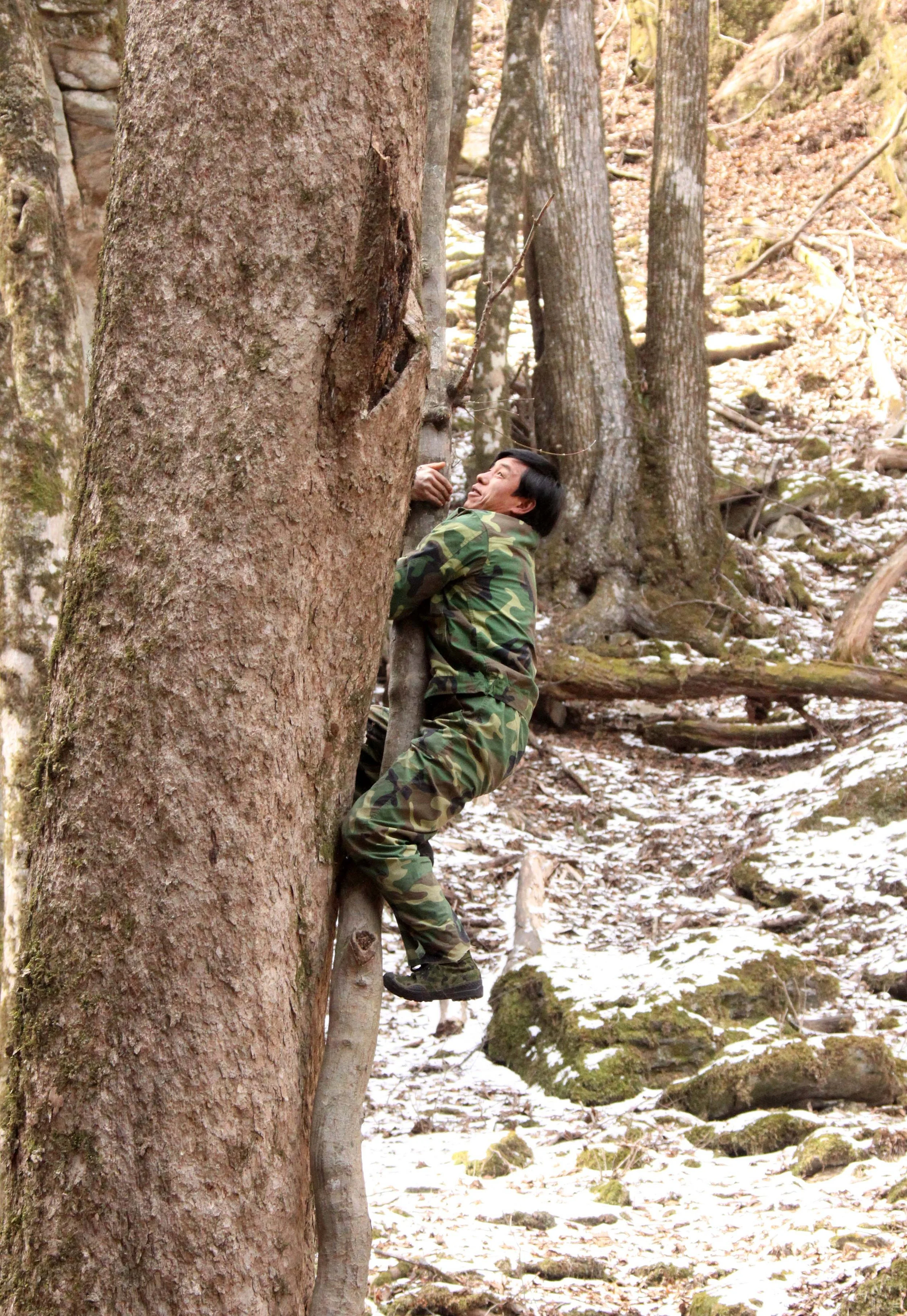 FOPING NATURE RESERVE - SHAANXI PROVINCE CHINA (223).JPG