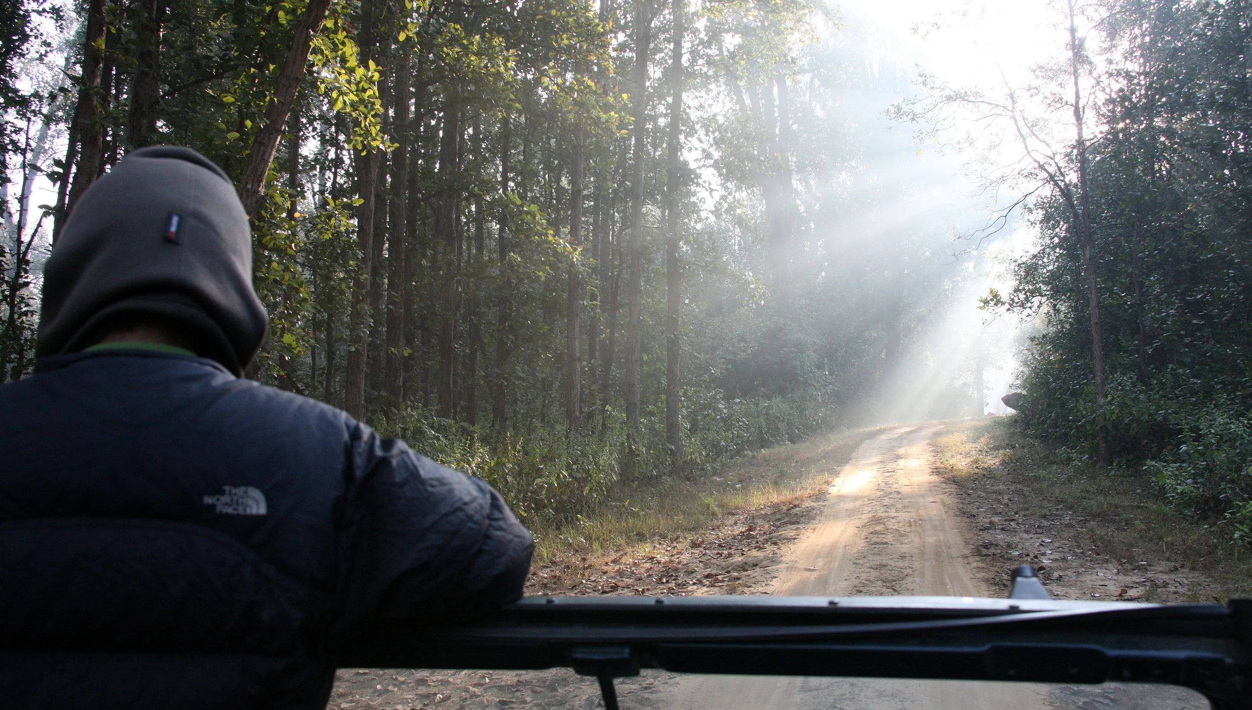 MADHYA PRADESH - KANHA NATIONAL PARK MADHYA PRADESH INDIA (23).JPG