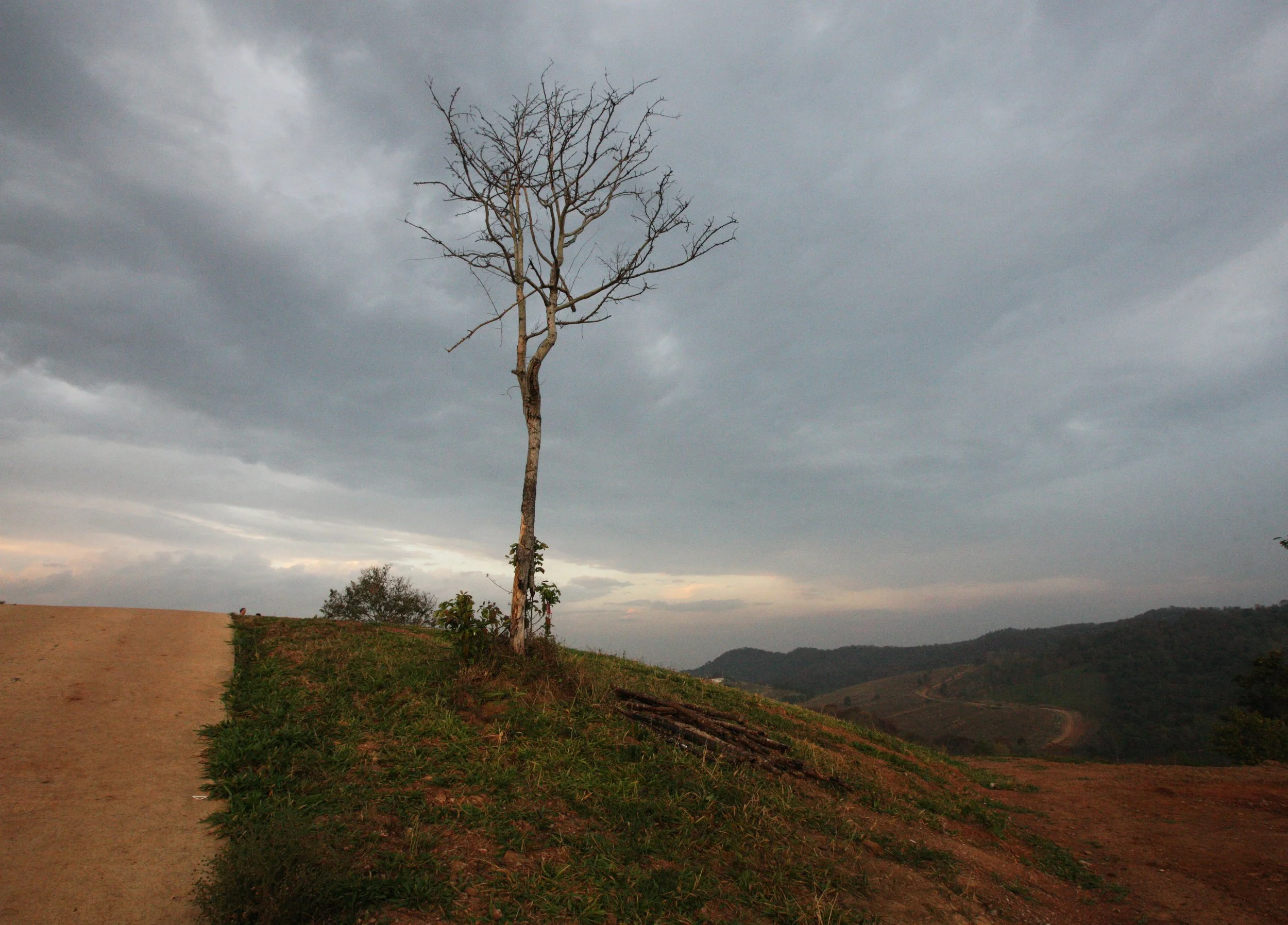 2015 Khao Pang Ma Nonhunting Area (15).JPG