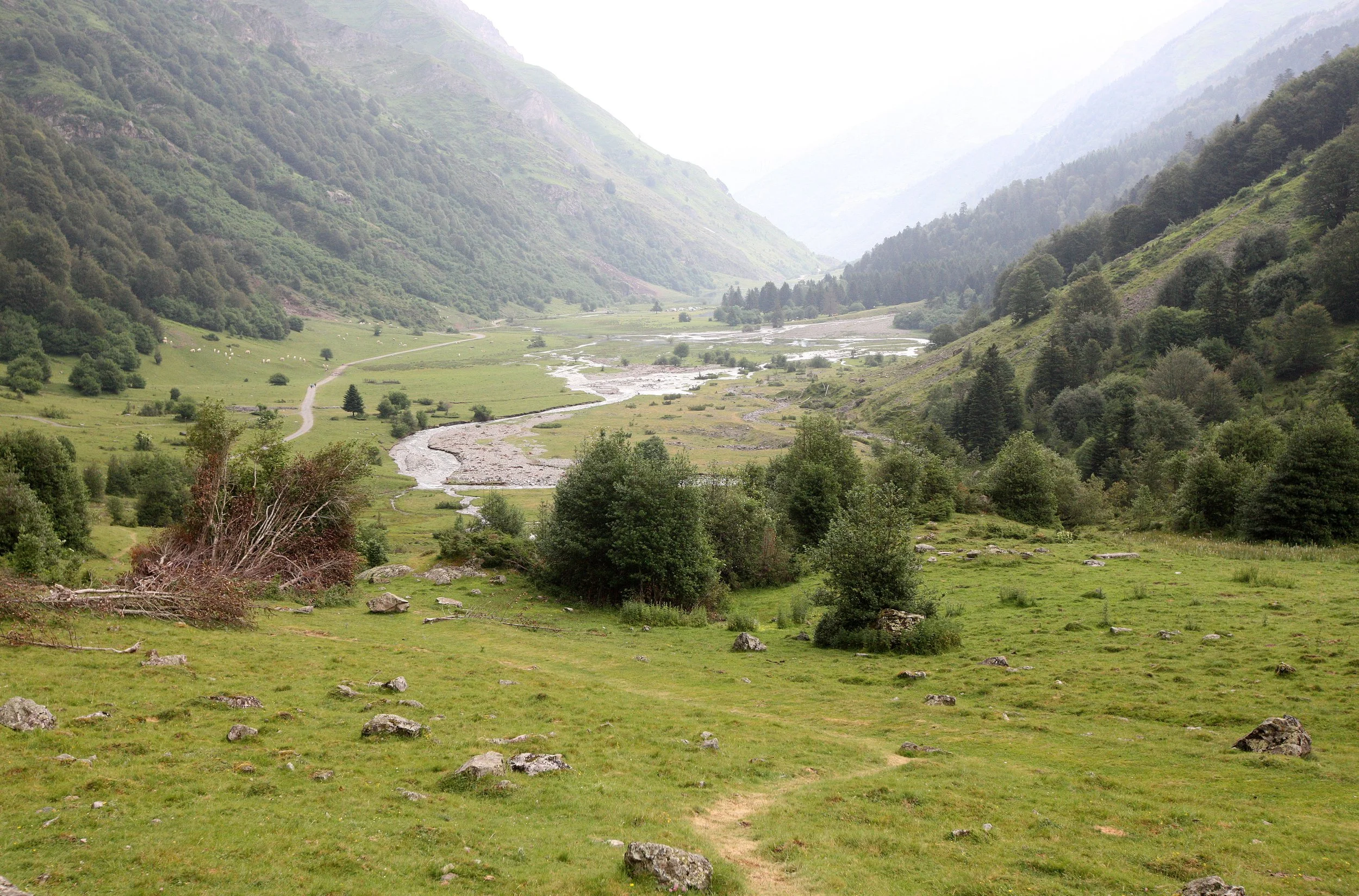 ARRENS-MARSOUS PYRENEES NATIONAL PARK FRANCE (4).JPG