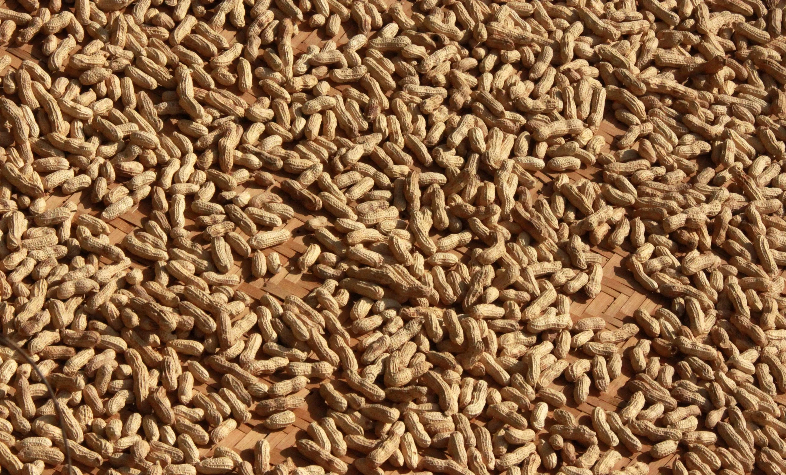 TIANLOUKENG HAKKA CLUSTER - FUJIAN CHINA (42).JPG