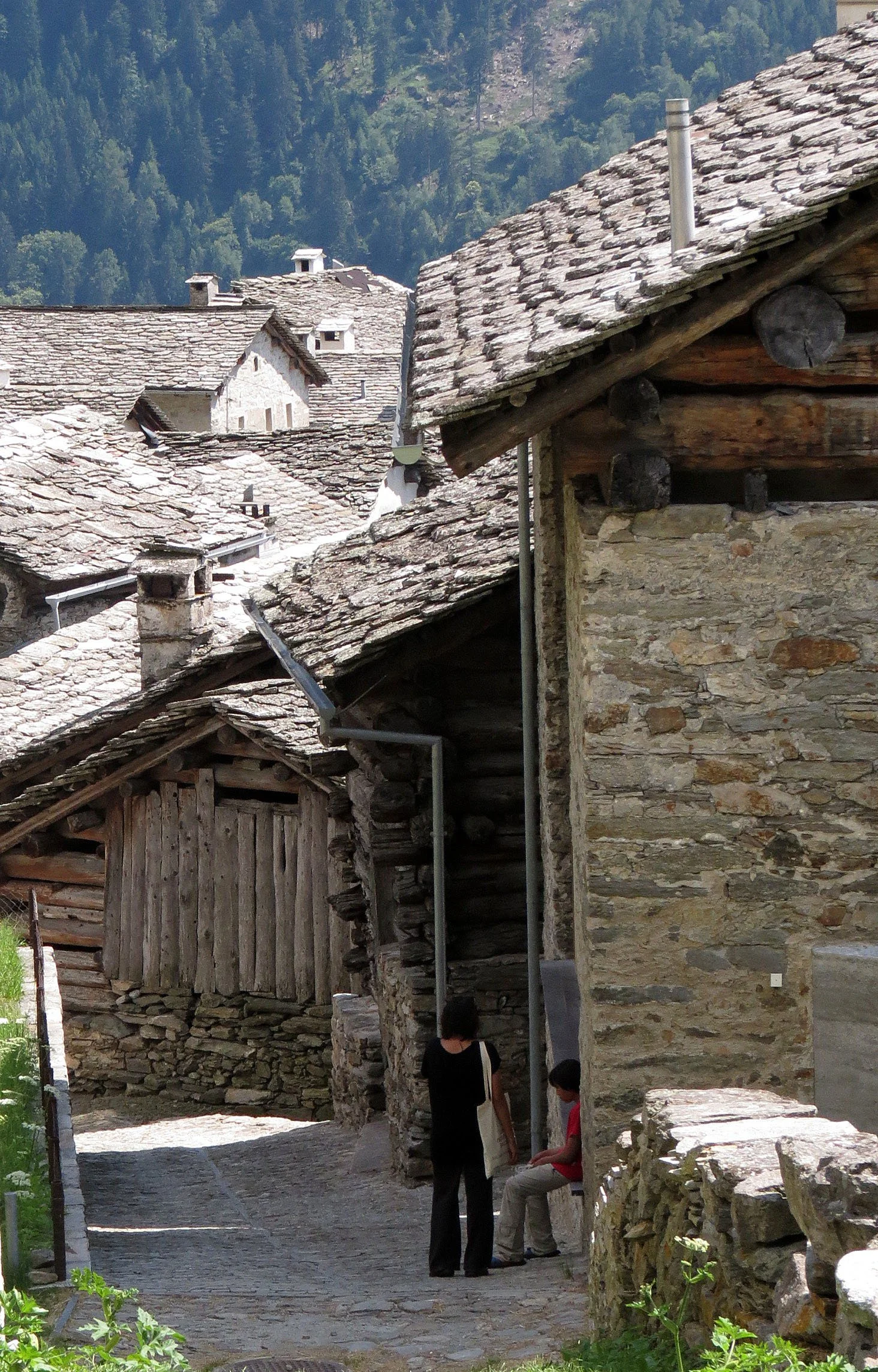 SOGLIO SWITZERLAND - JULY 2013 (9).JPG