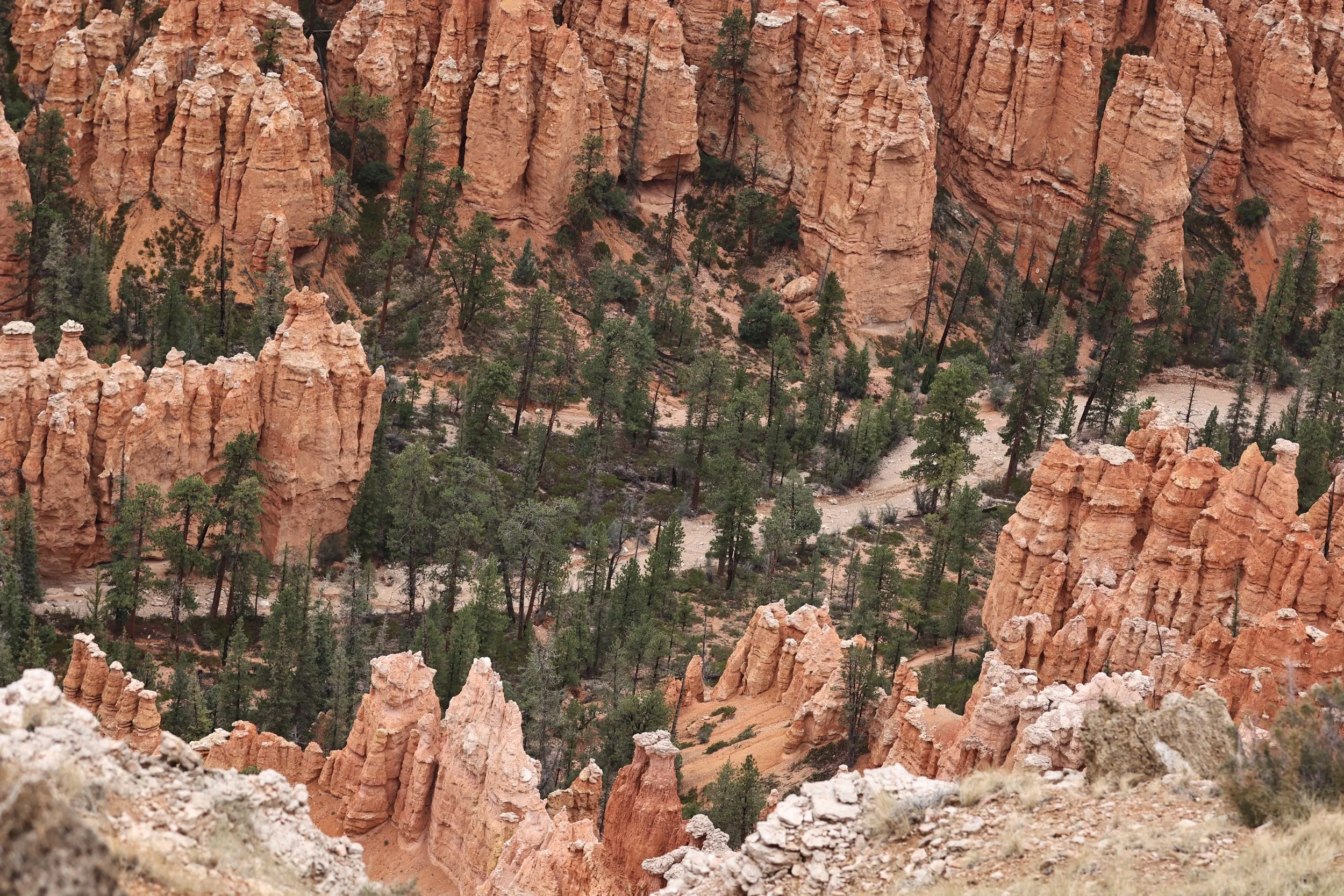 BRYCE CANYON UTAH 2022 (90).JPG