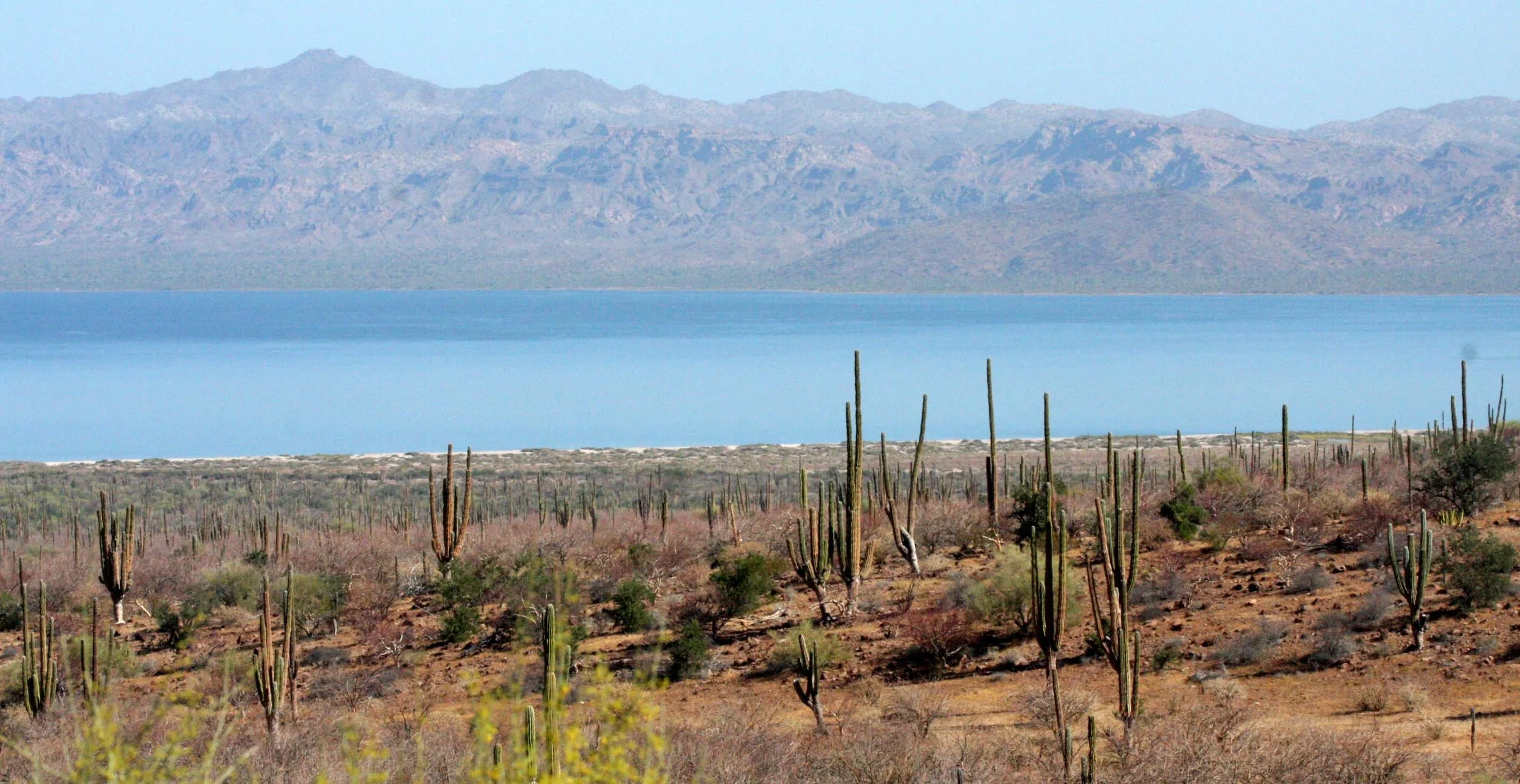 Bahia de Los Angeles