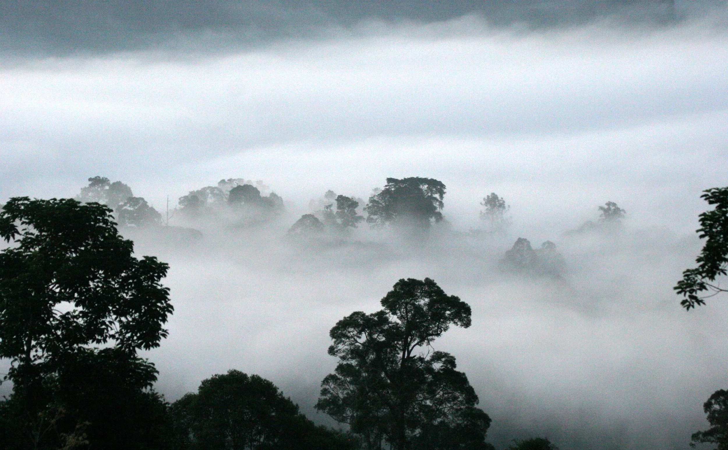 DANUM VALLEY BORNEO - SUNRISE OVER THE DANUM (28).JPG