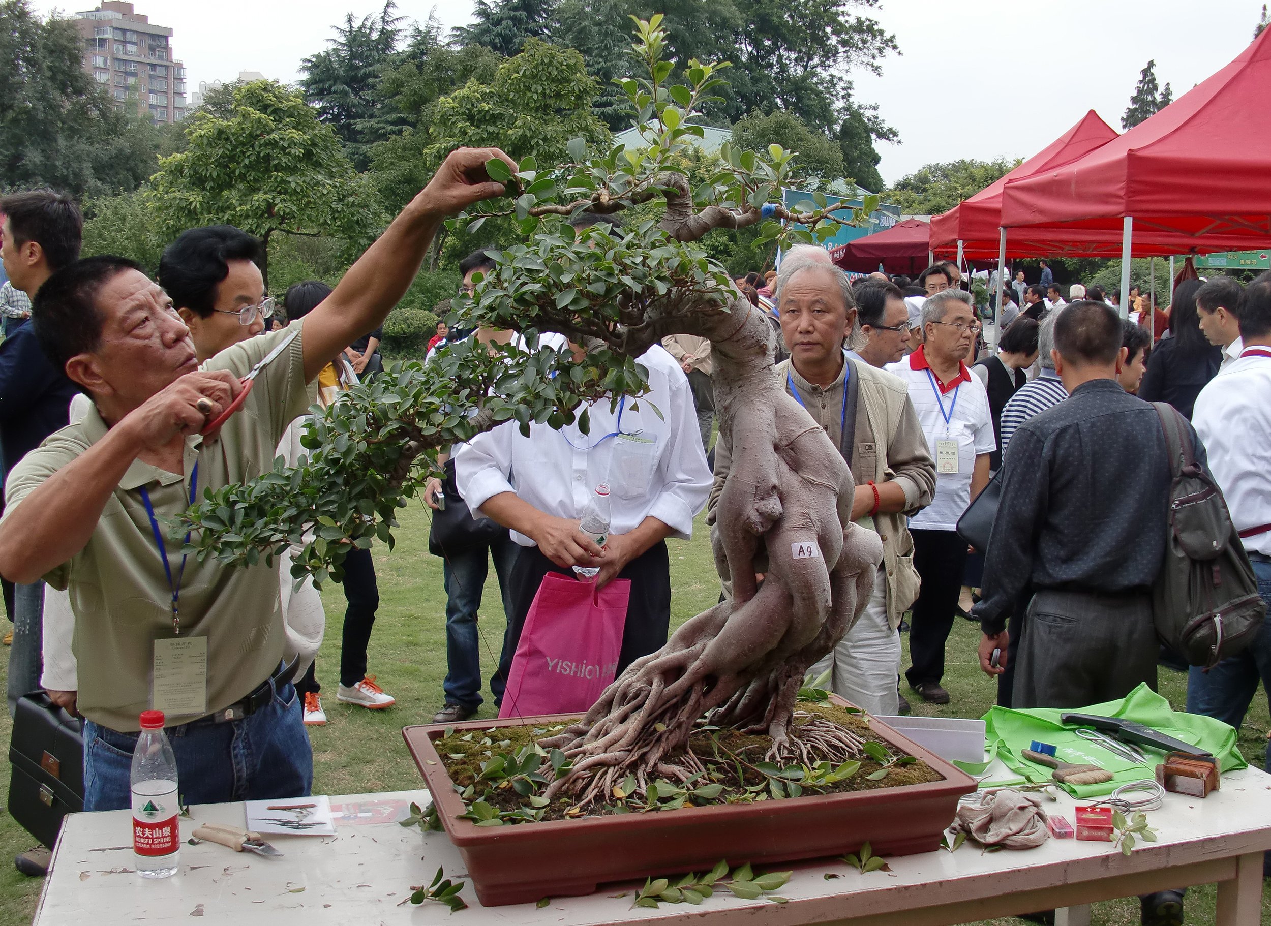 2010-9-30 SHANGHAI BOTANICAL GARDEN (6).JPG