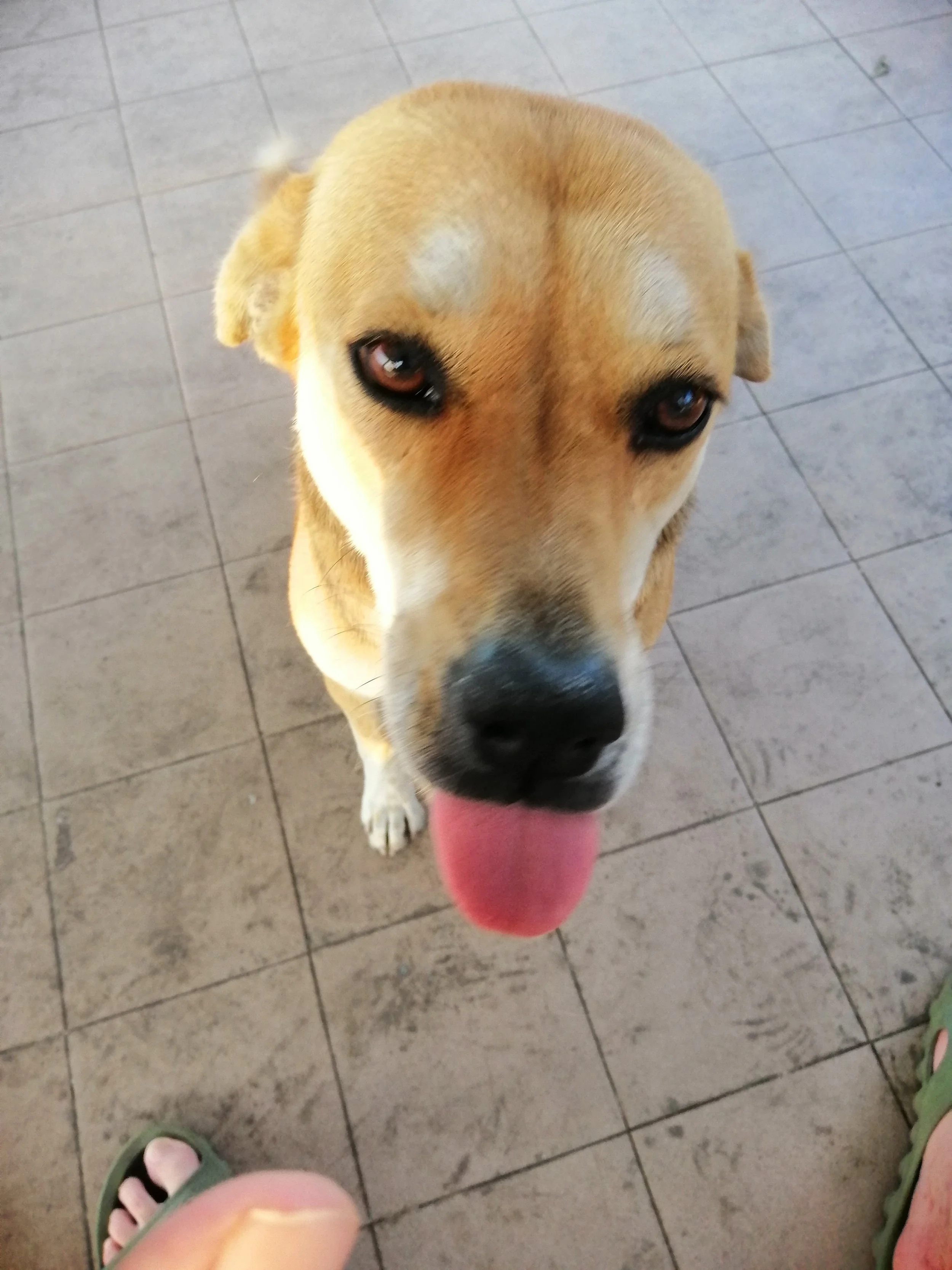 2018 Pics with Gift in Thailand (44).jpg