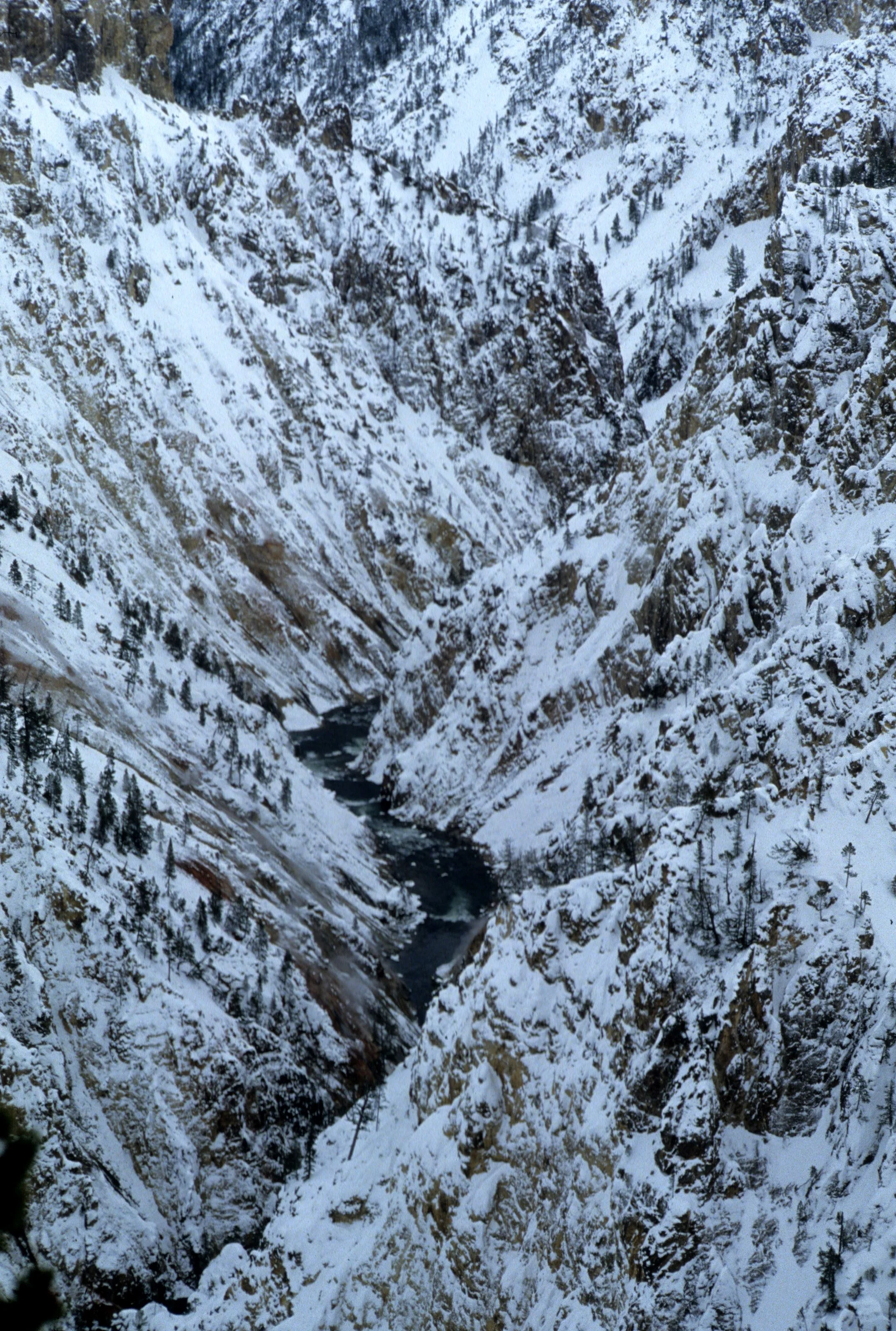 YELLOWSTONE IN WINTER HH.jpg