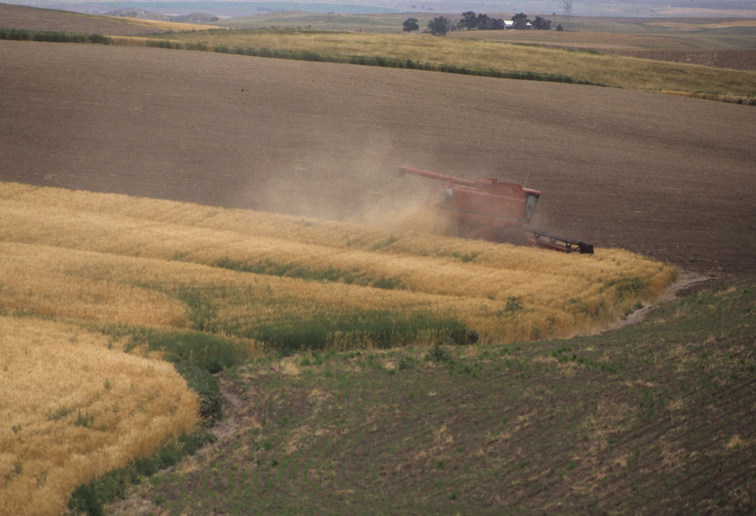 GREAT PLAINS - GRASSLANDS IN CULTIVATION A.jpg