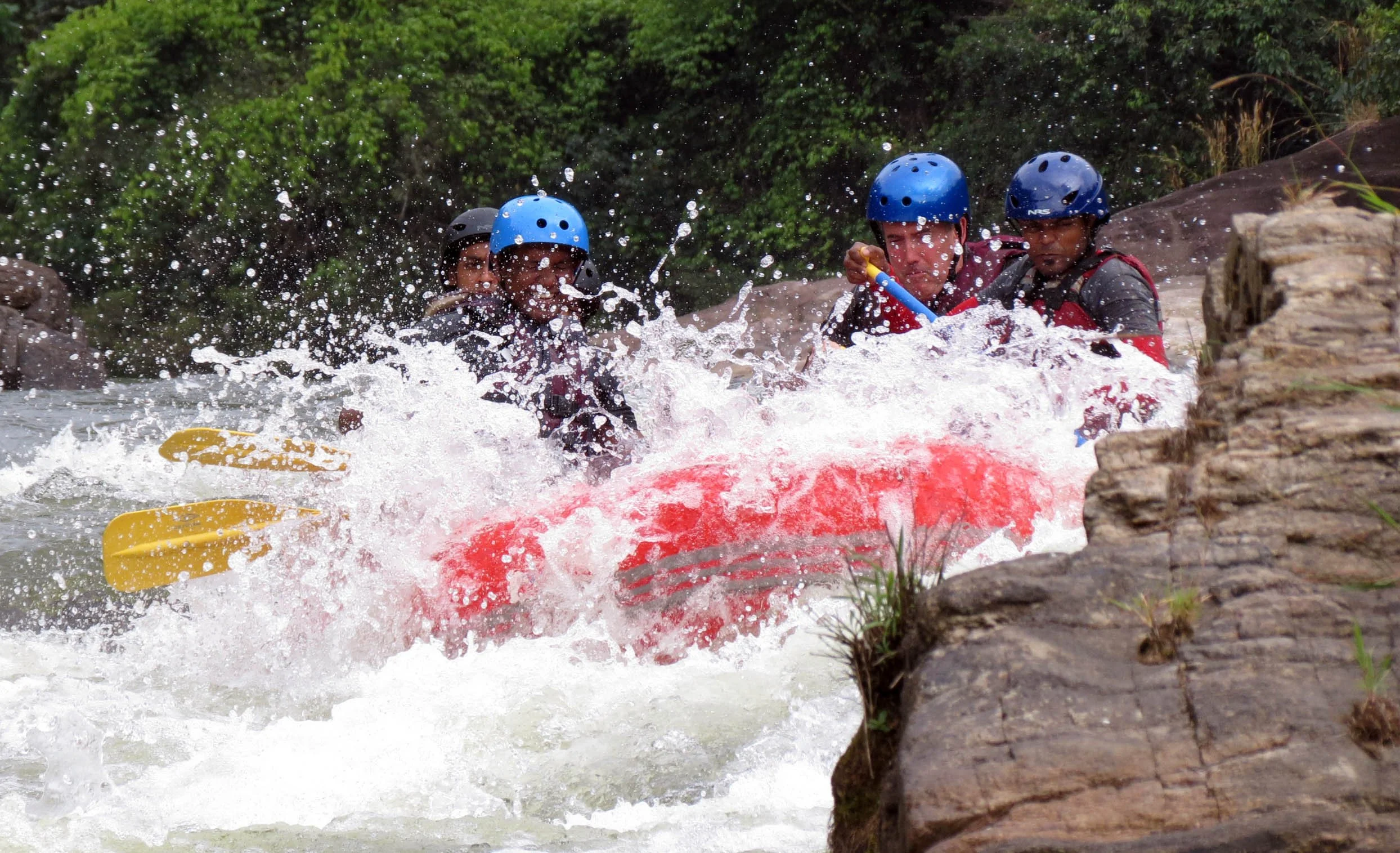 KITULGALA FOREST PRESERVE SRI LANKA (80).JPG