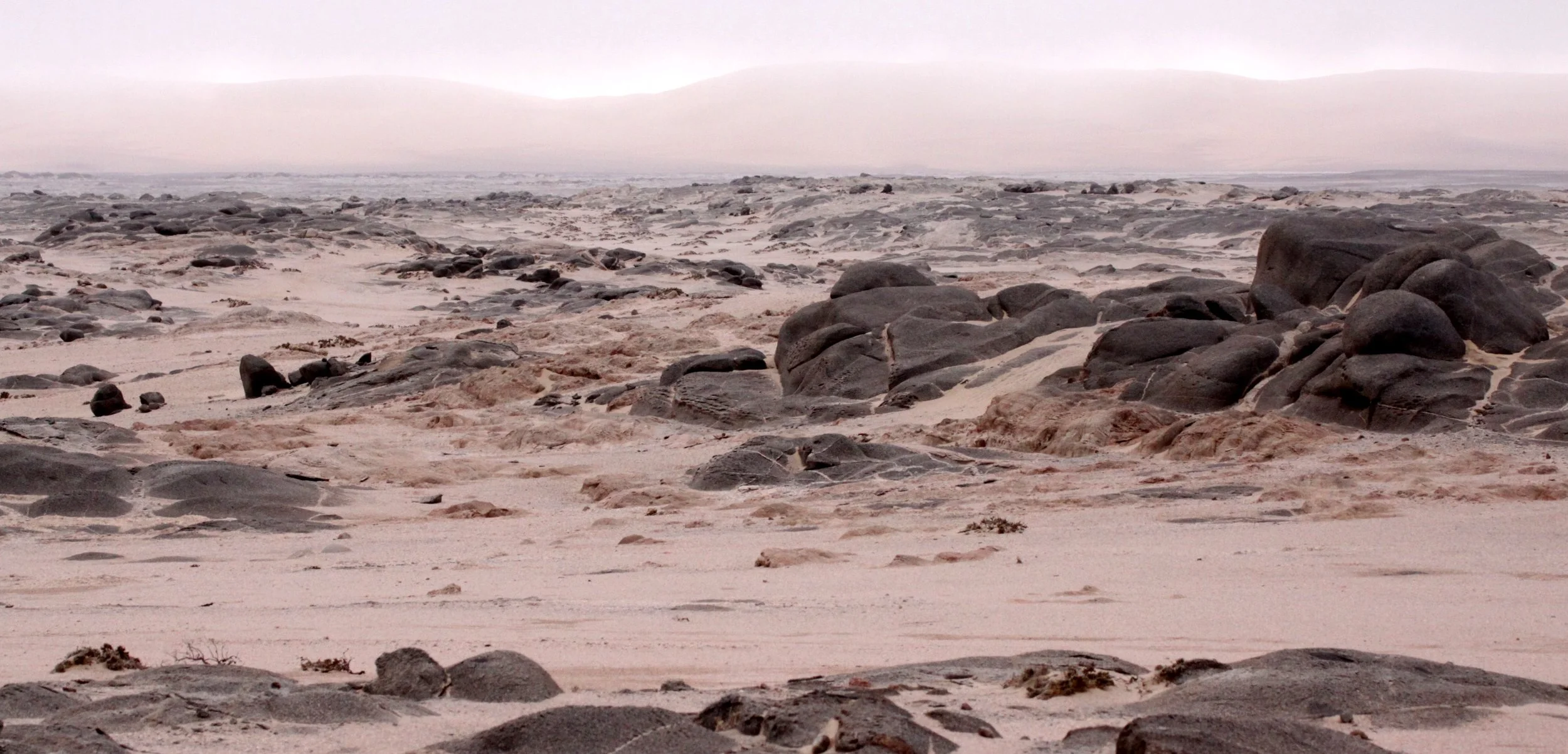 NAMIBIA - SKELETON COAST NATIONAL PARK - SCENERY (17).JPG