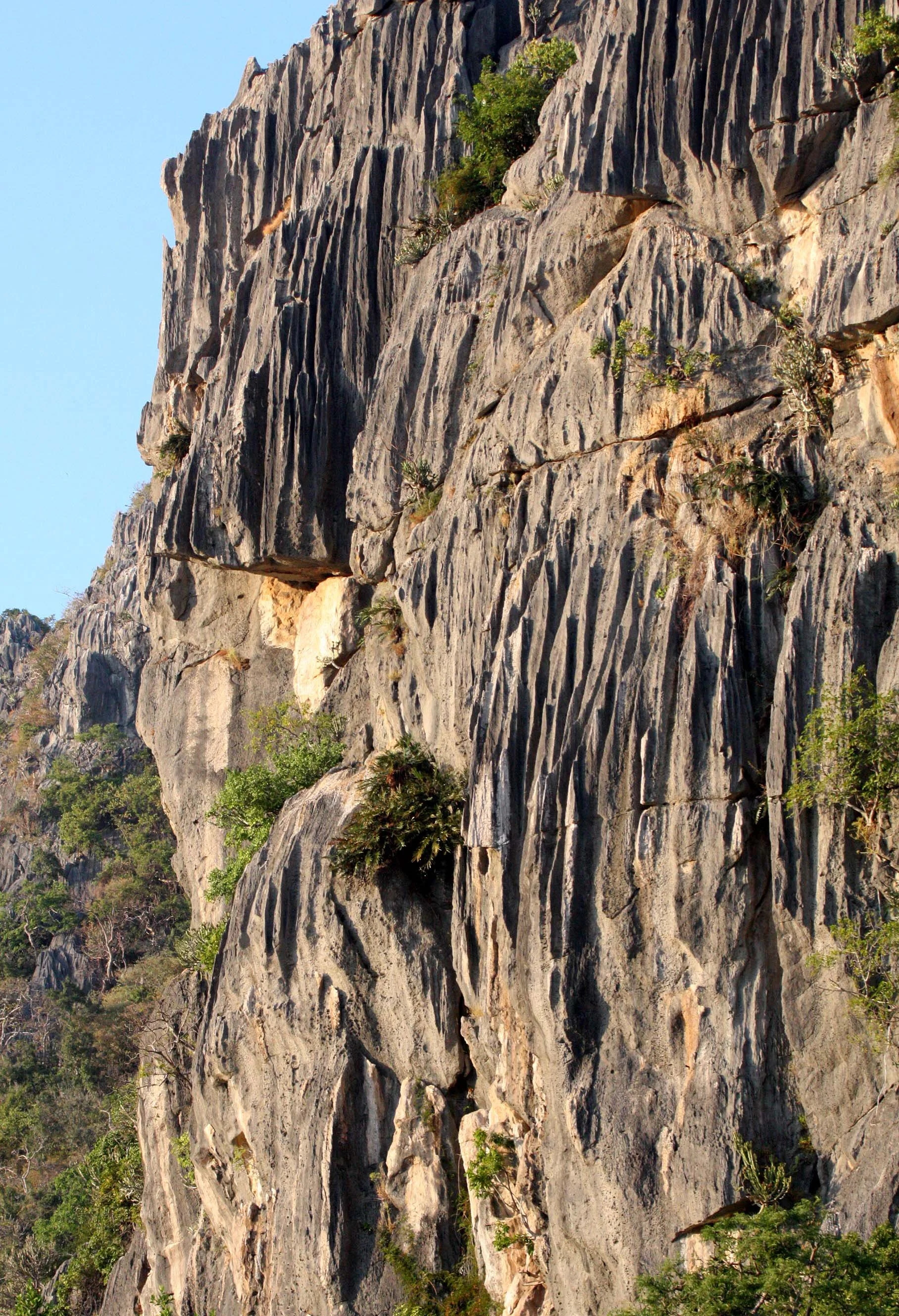 KHAO SAM ROI YOT THAILAND - 2009 (11).JPG