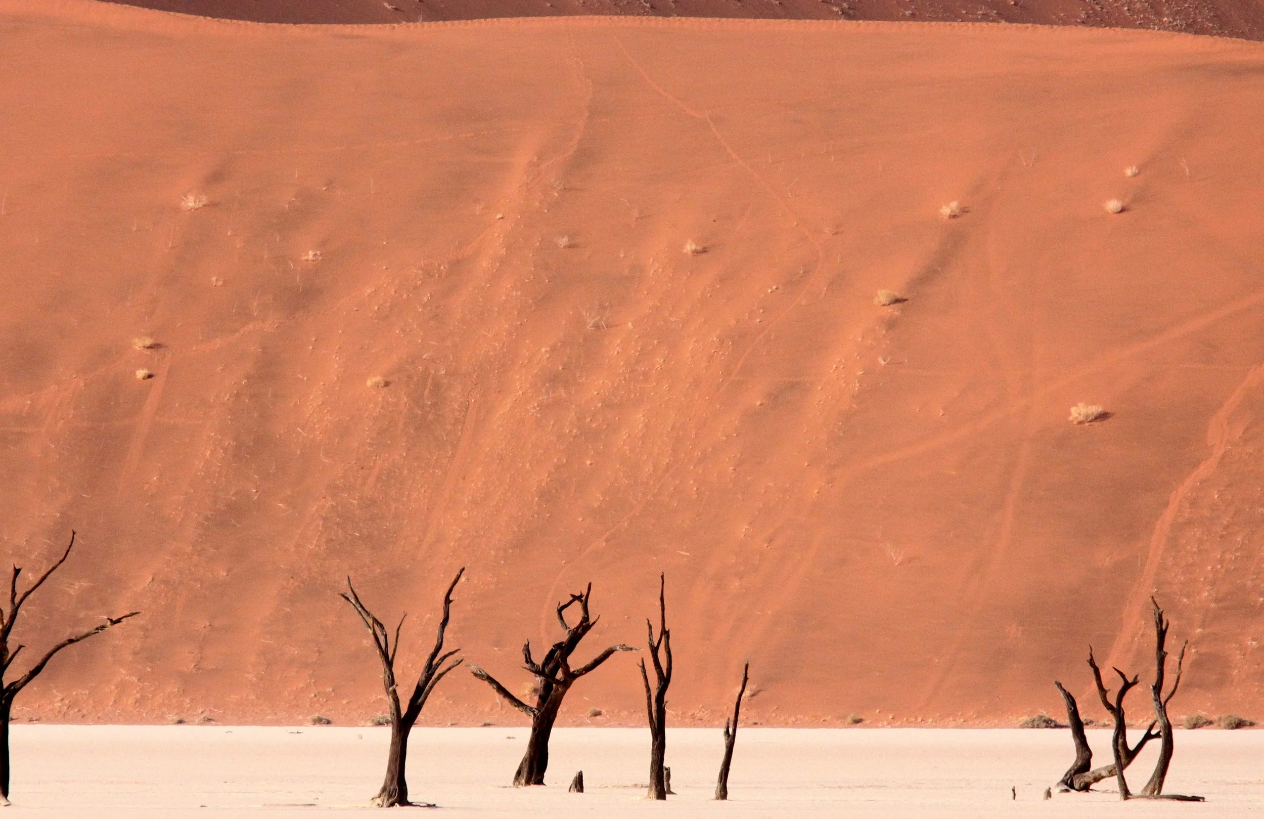SOSSUSVLEI, NAMIB NAUKLUFT NATIONAL PARK, NAMIBIA - DEAD VLEI (10).JPG