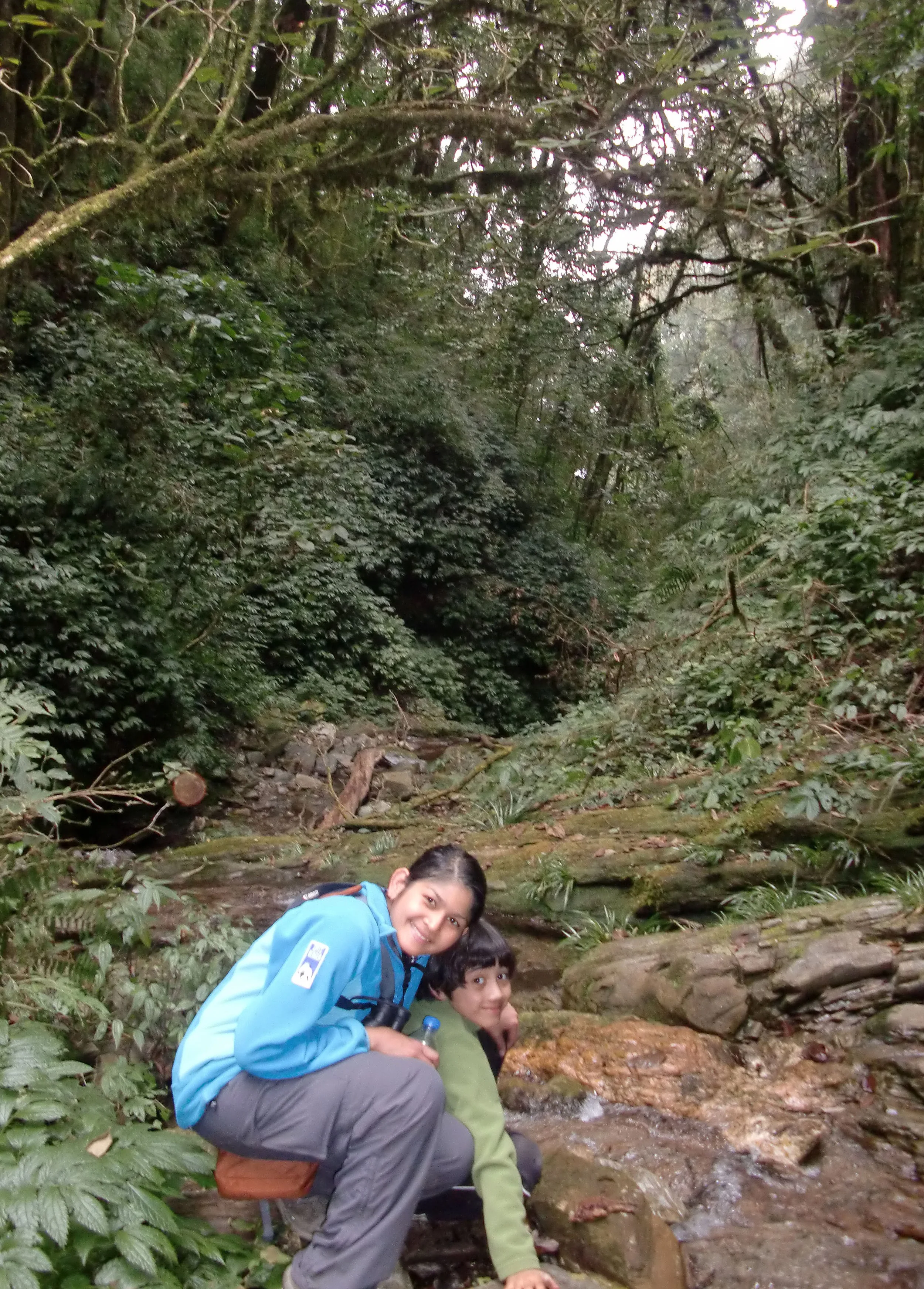 YUNNAN - WULIANGSHAN NATURE RESERVE AND SURROUNDING MOUNTAINS (45).JPG