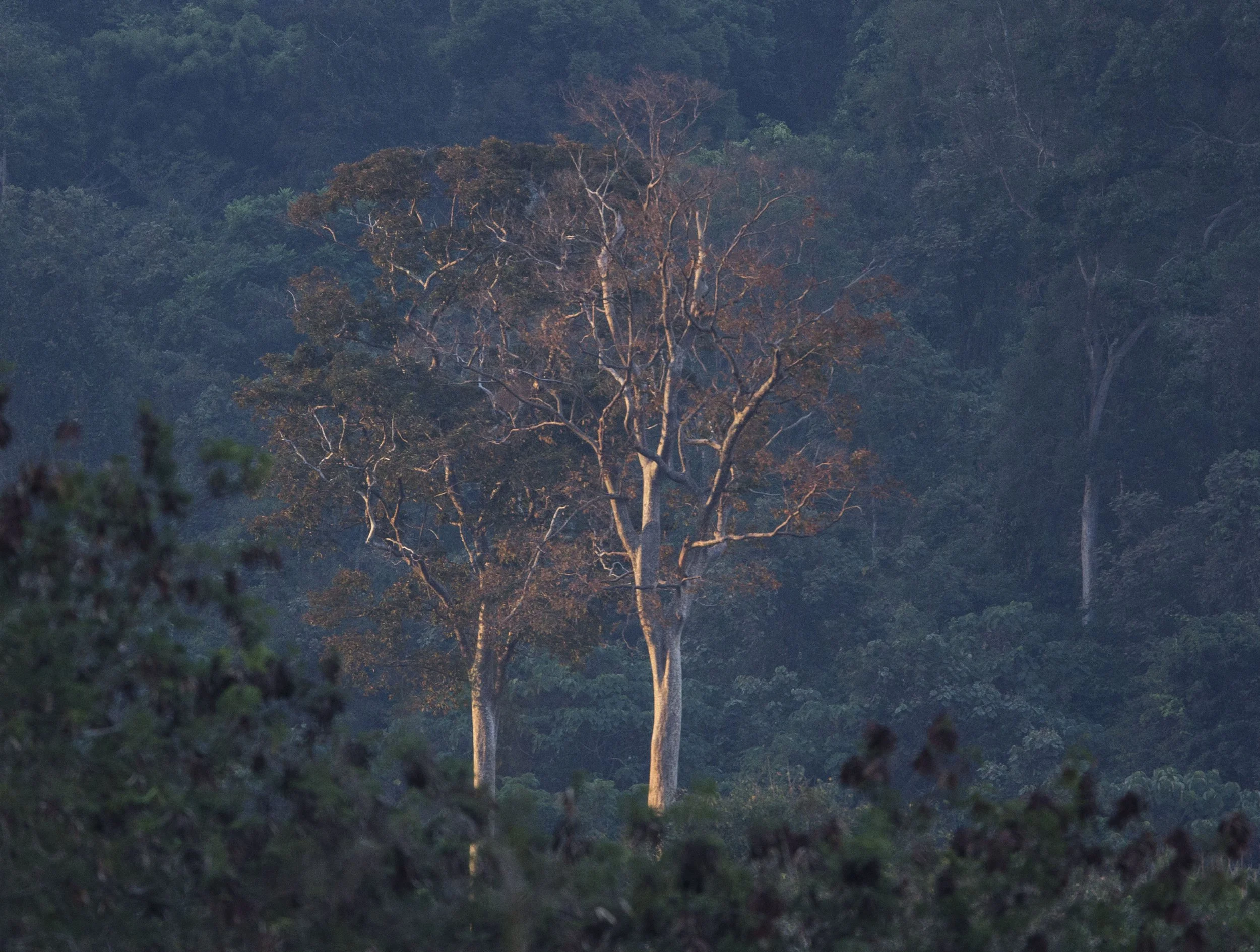 The light was just too perfect....