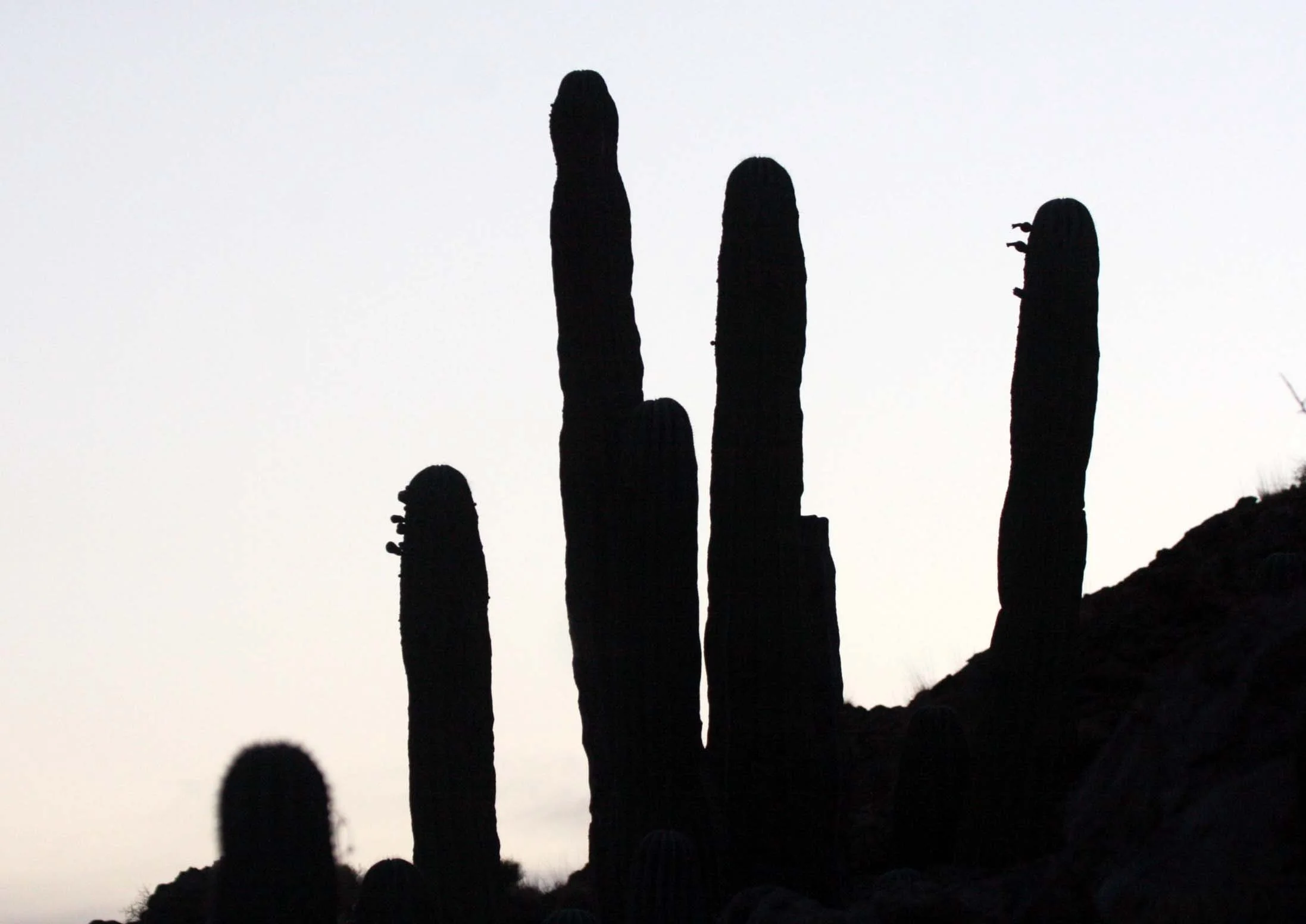 ISLA SANTA CATALINA BAJA MEXIO - SUNSET LANDSCAPES (20).JPG